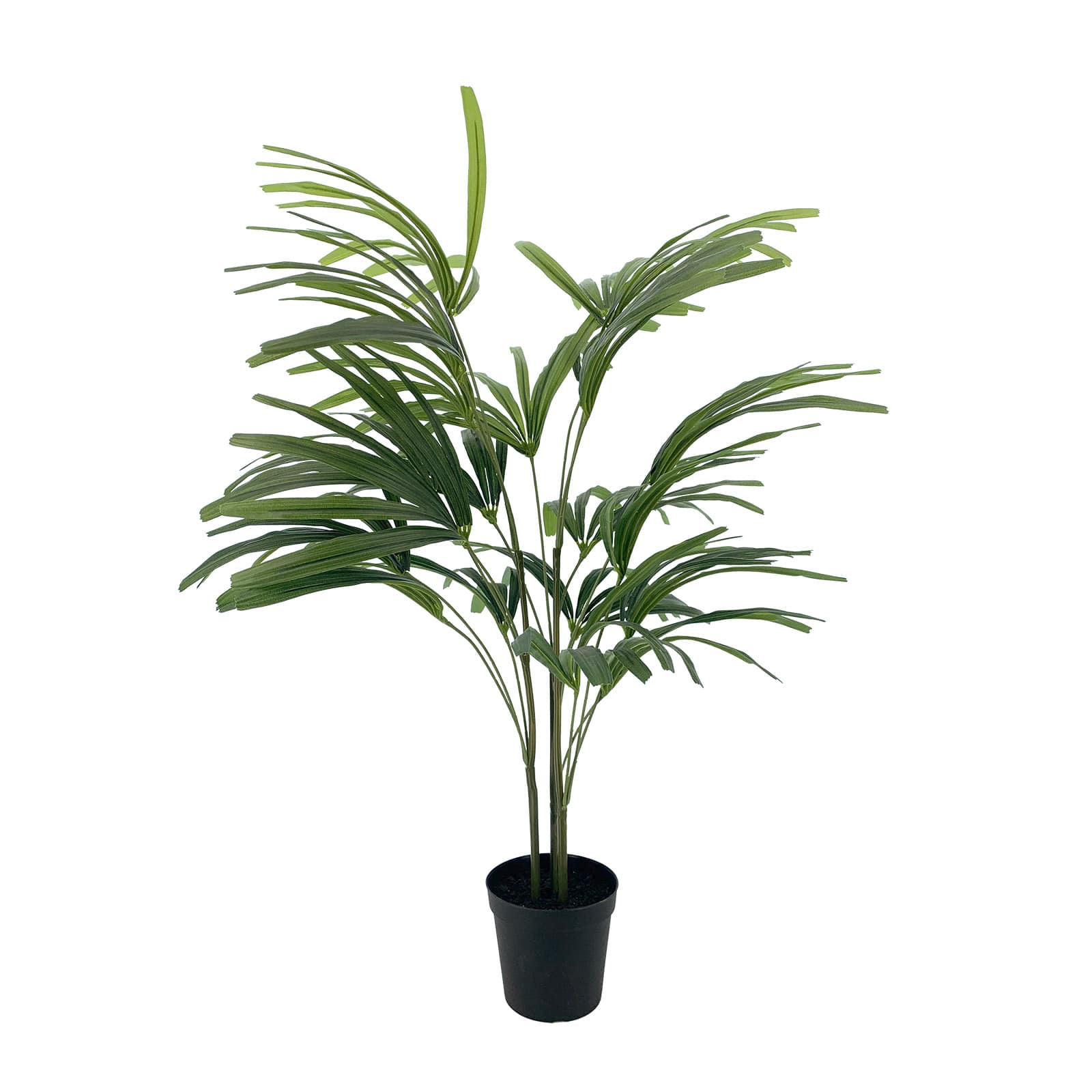 3ft. Potted Lady Palm Plant by Ashland&#xAE;