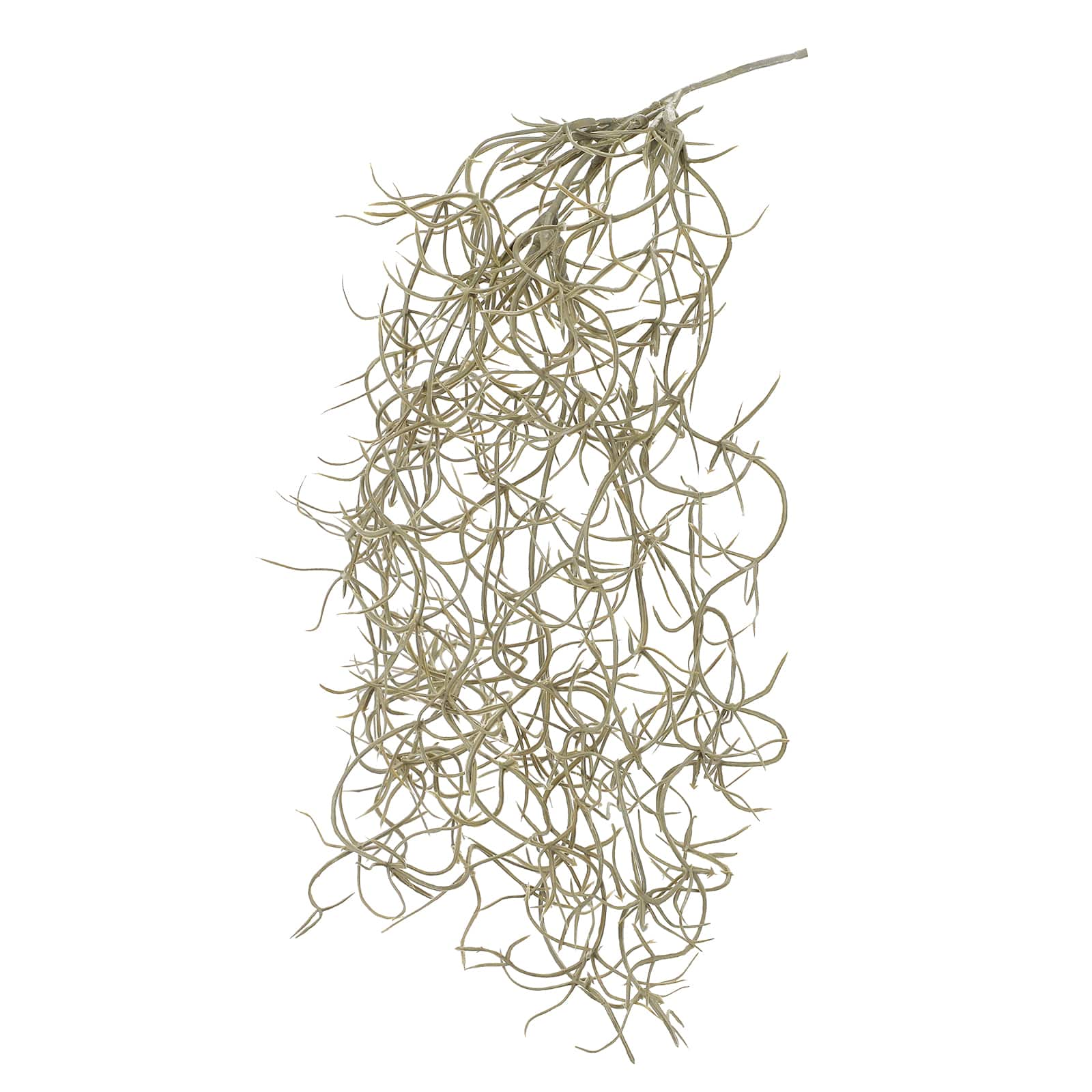 10&#x22; Gray Spanish Moss Halloween Pick by Ashland&#xAE;