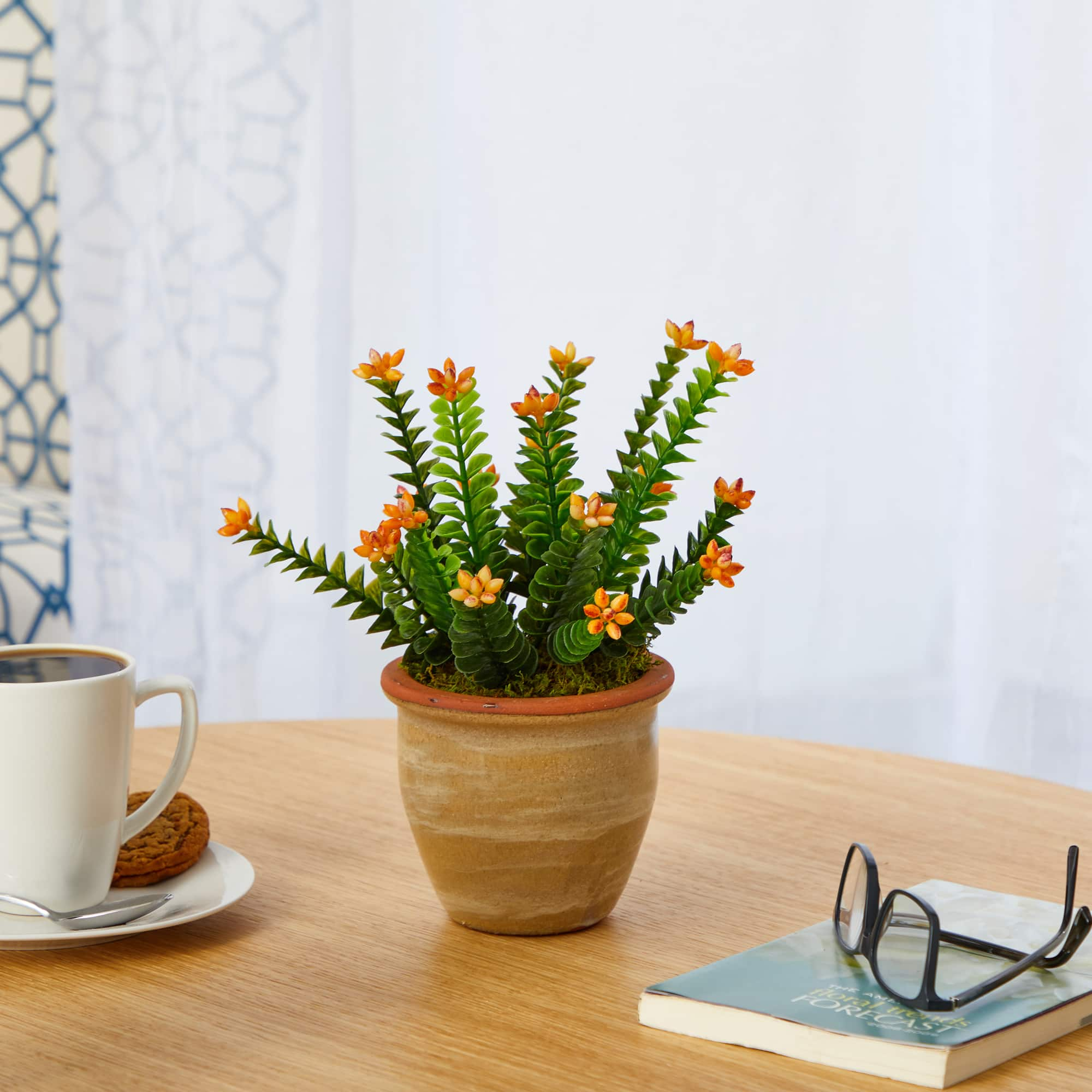 10&#x22; Flowering Sedum Succulent Plant in Ceramic Planter