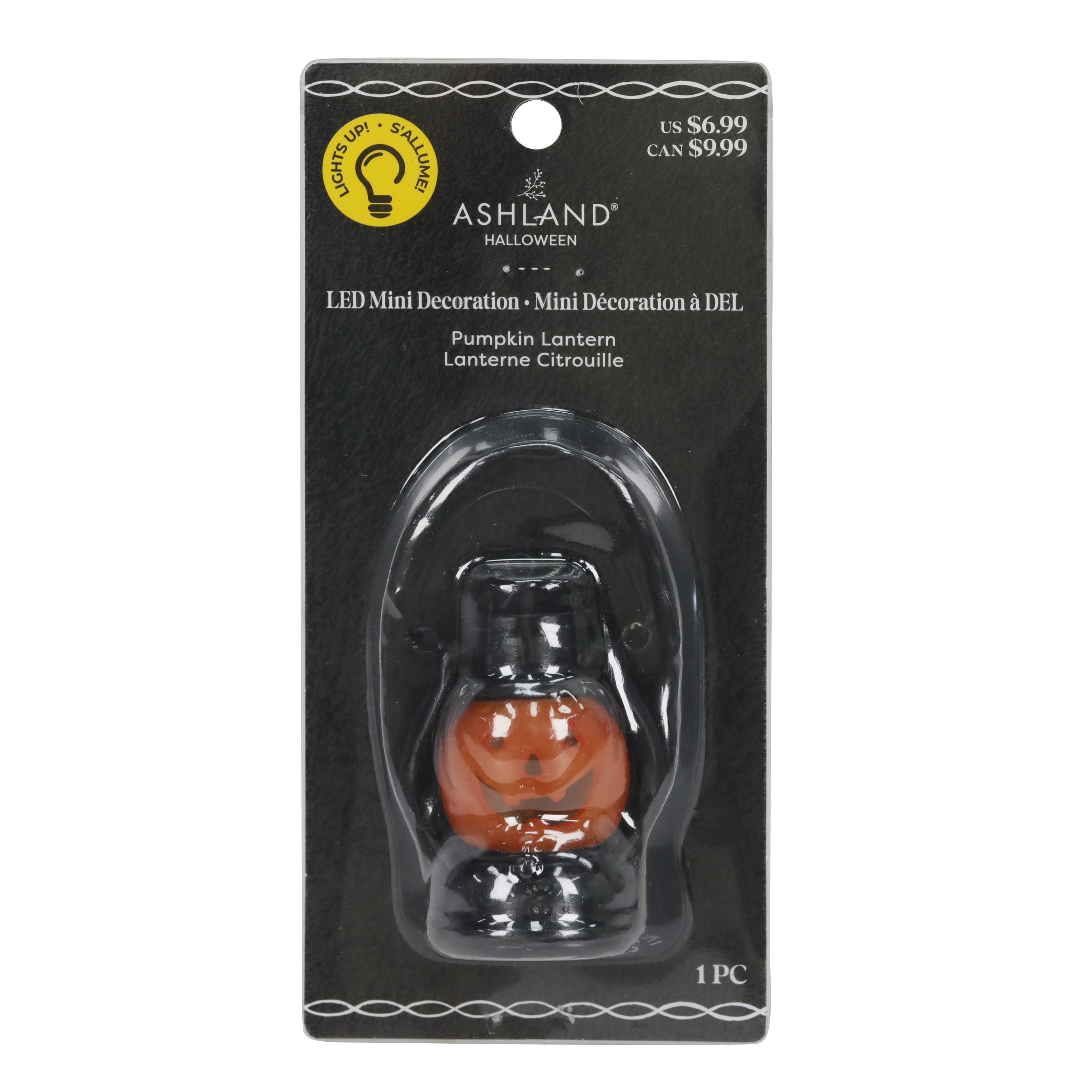 Mini LED Pumpkin Lantern by Ashland&#xAE;