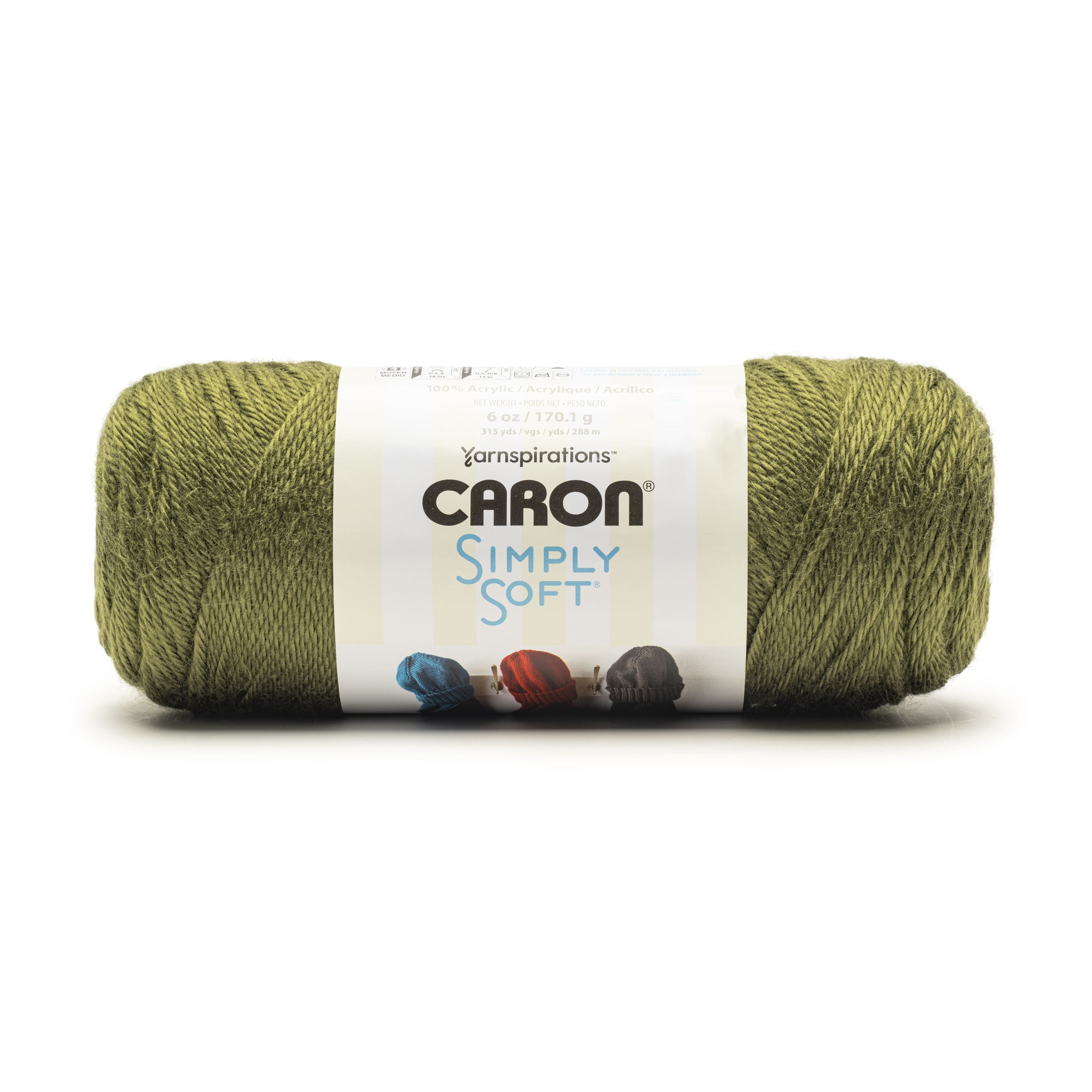 Caron&#xAE; Simply Soft&#xAE; Solid Yarn