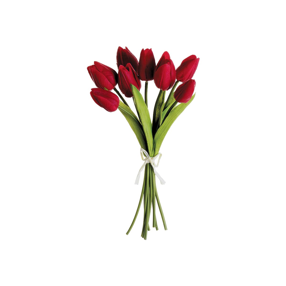 Soft Touch Red Tulip Bundle