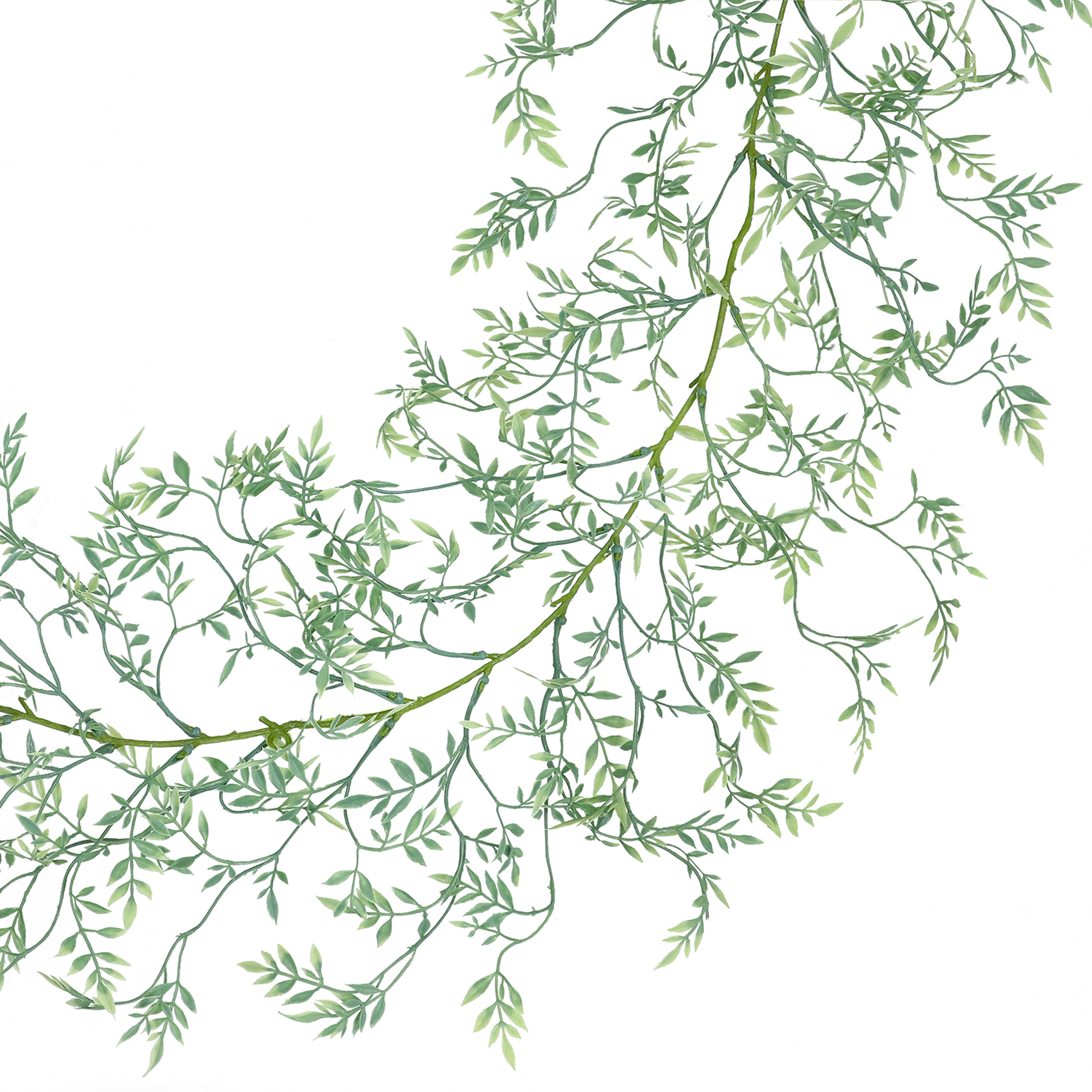 6ft. Mini Ficus Garland by Ashland&#xAE;