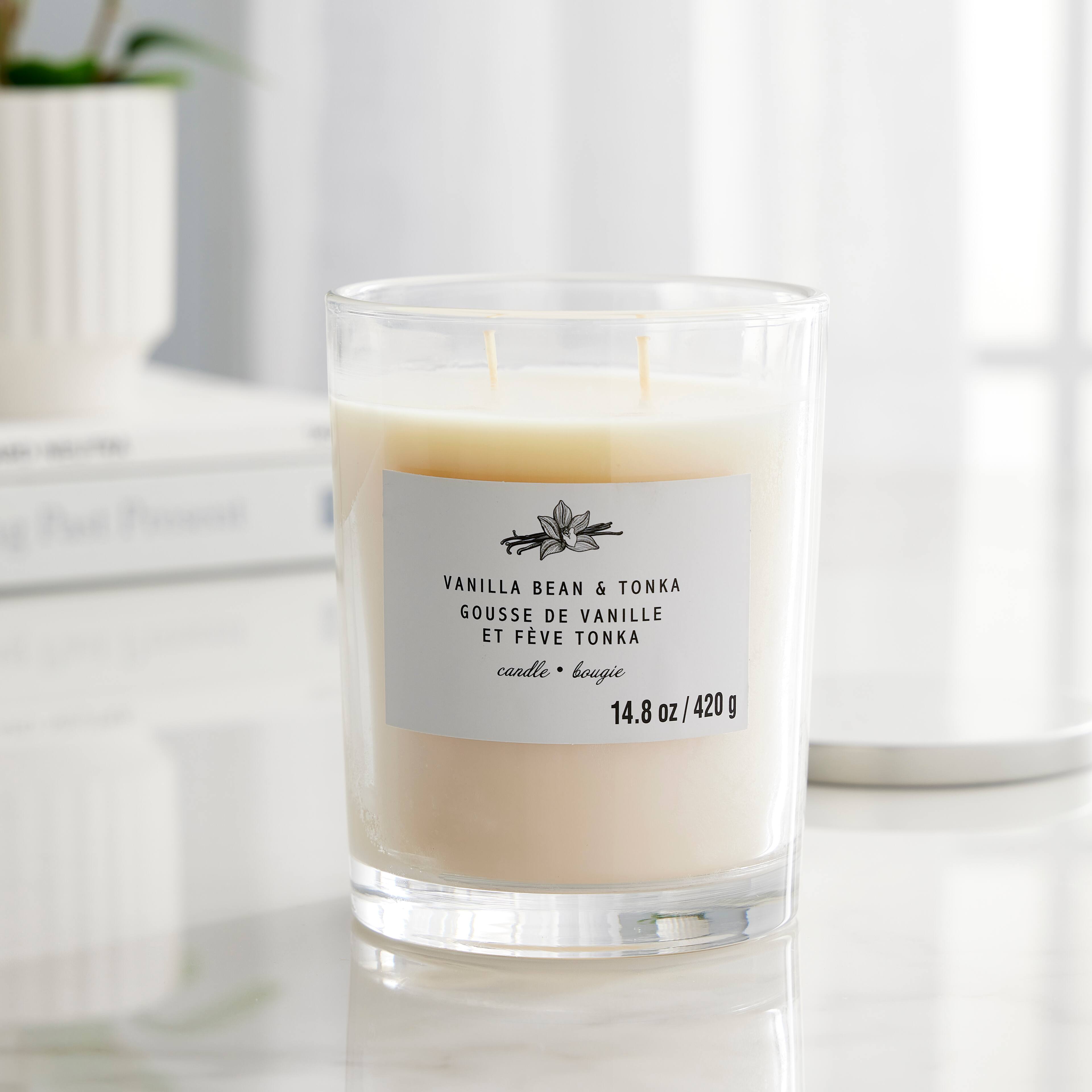 8 Pack: Vanilla Bean & Tonka 2-Wick Jar Candle by Ashland® | Candles ...