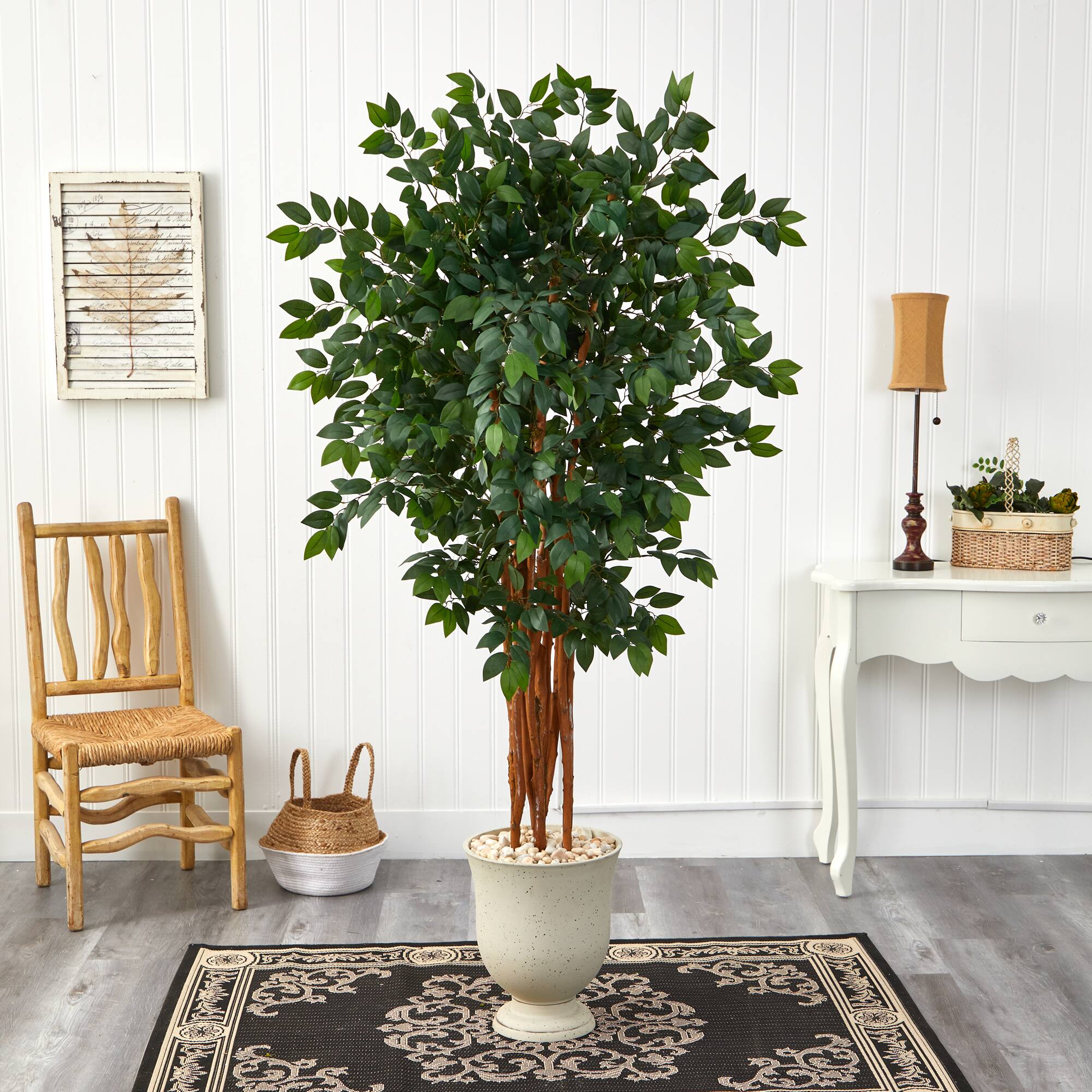 6ft. Sakaki Tree in Decorative Urn | Trees & Floor Plants | Michaels