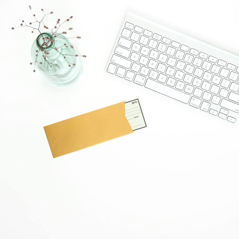 JAM Paper #10 Policy Metallic Business Envelopes