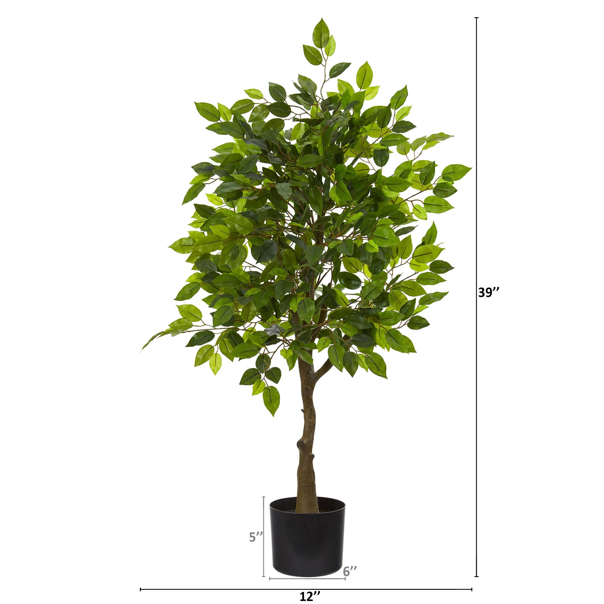 3.25ft. Potted Ficus Tree | Michaels