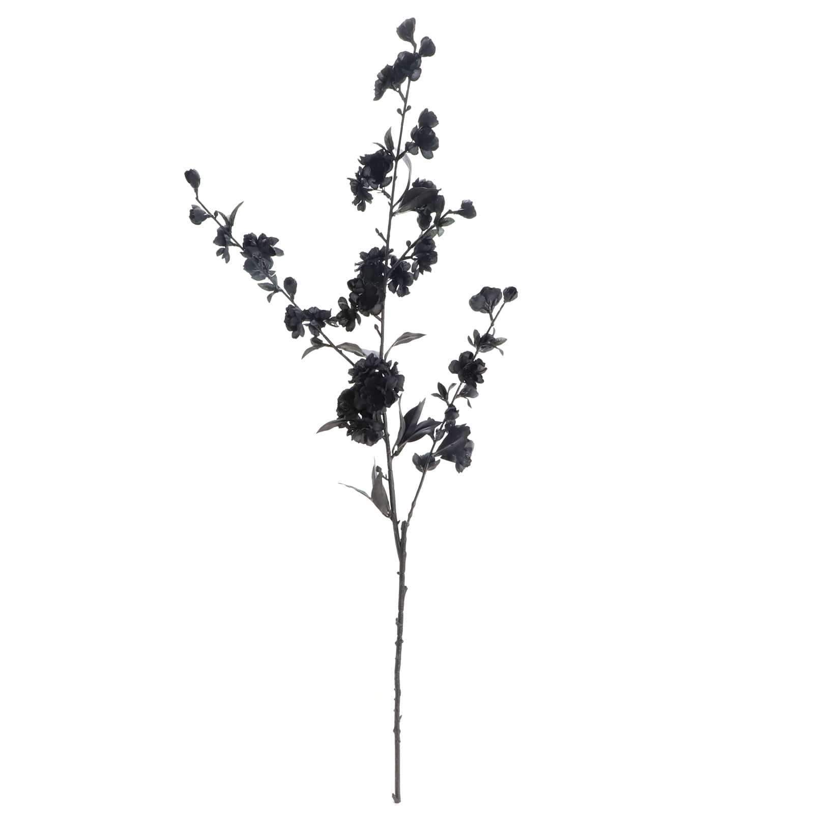 12 Pack: Black Blossom Spray by Ashland&#xAE;