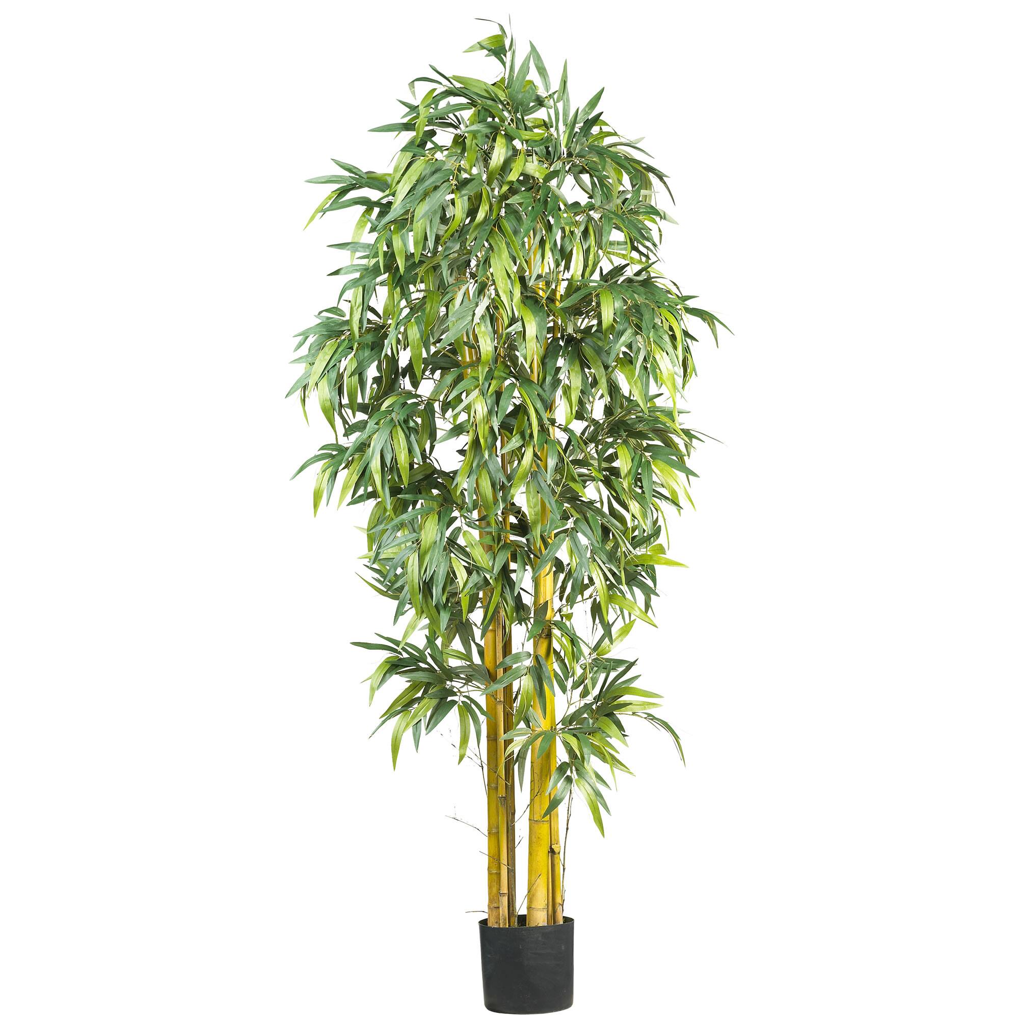 6ft. Potted Big Bamboo Tree Michaels