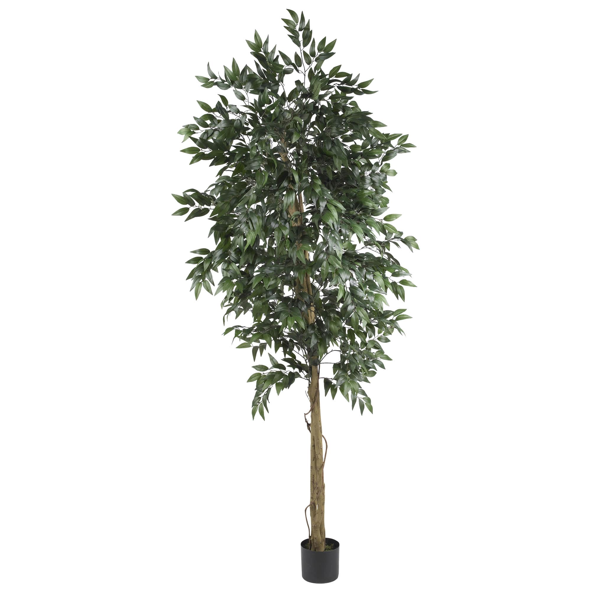 6ft. Potted Smilax Tree