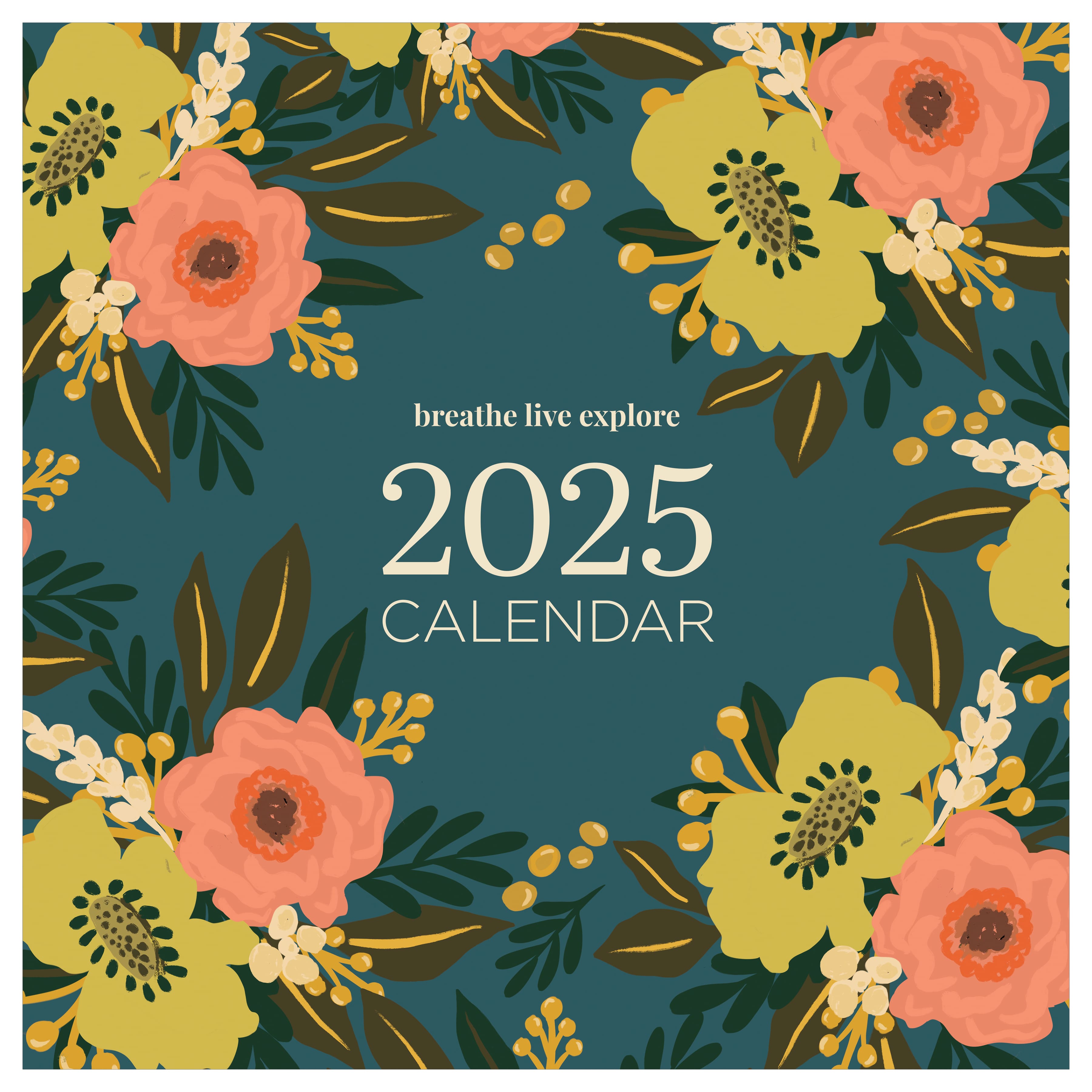 TF Publishing 2025 Breathe Live Explore Wall Calendar