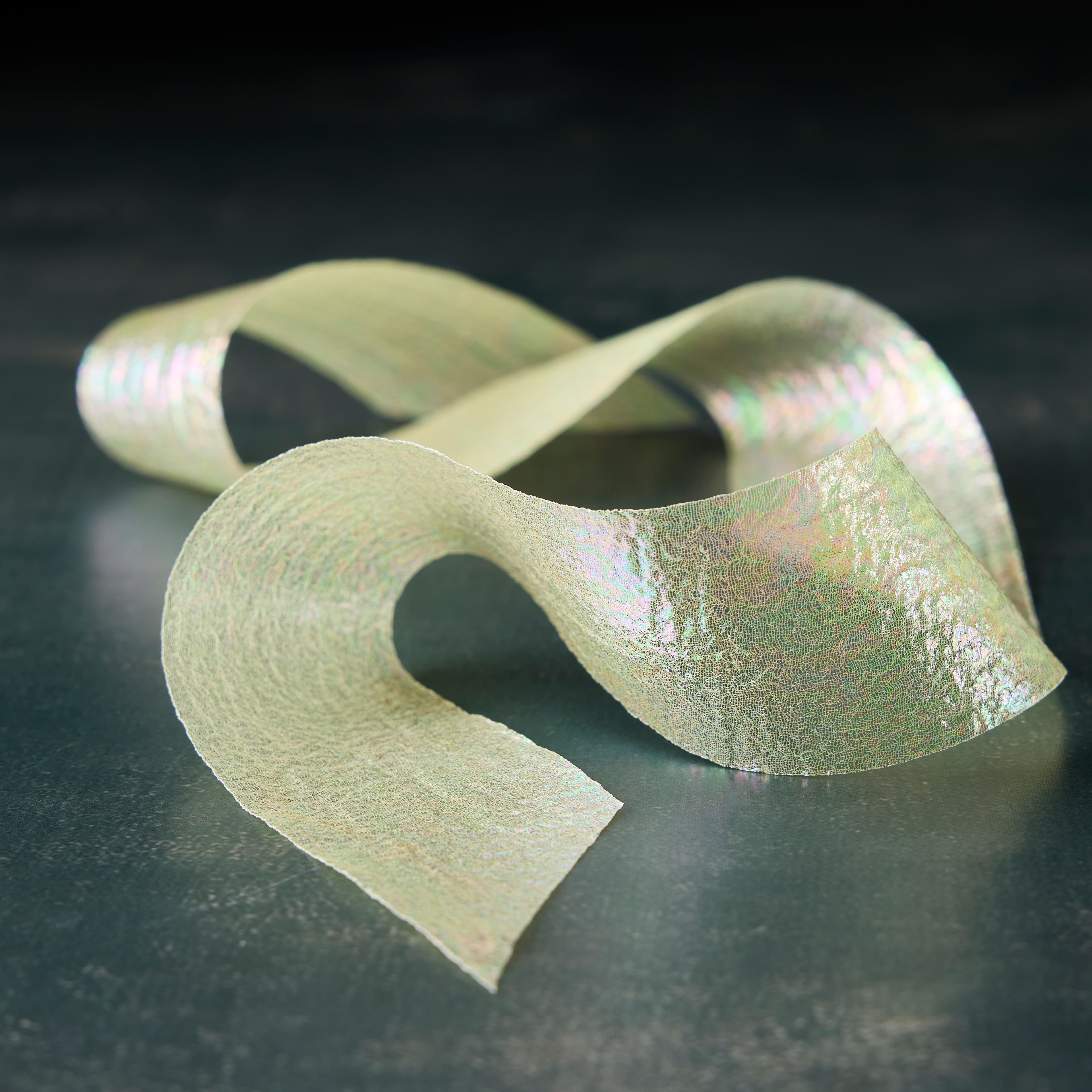 1.5&#x22; x 3yd. Iridescent Organza Ribbon by Celebrate It&#xAE; Classic