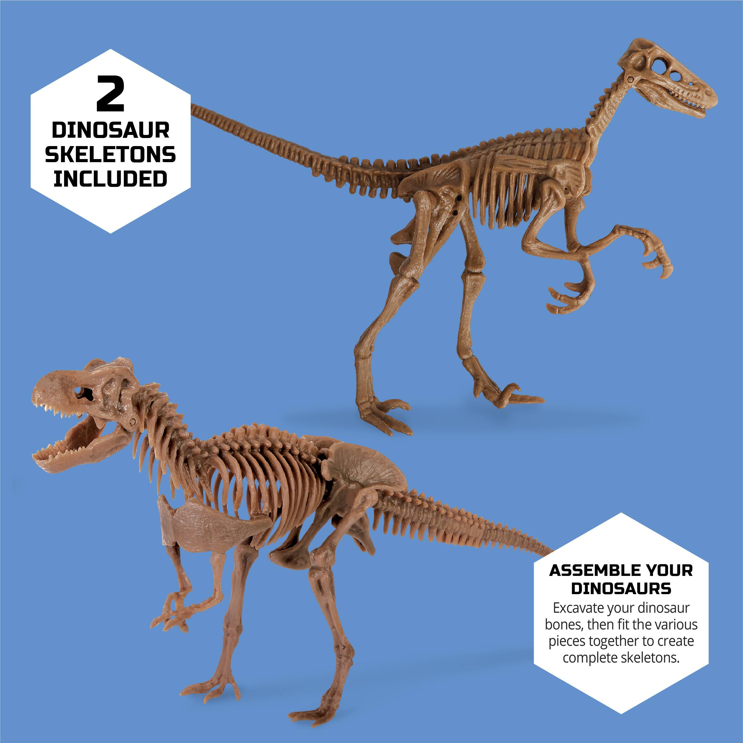 discovery mindblown dinosaur fossil dig