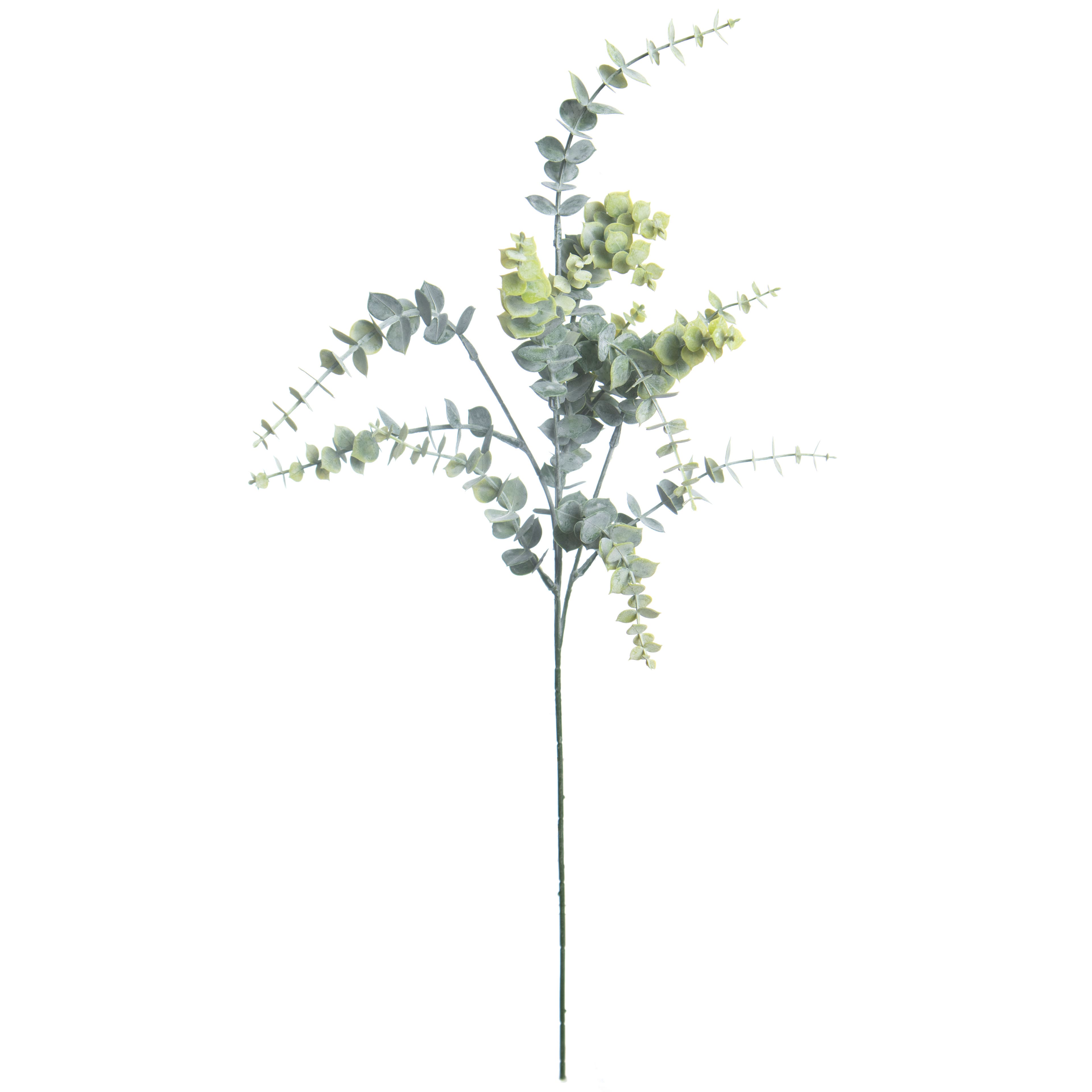 27&#x22; Fresh Green Mini Eucalyptus Stem by Ashland&#xAE;