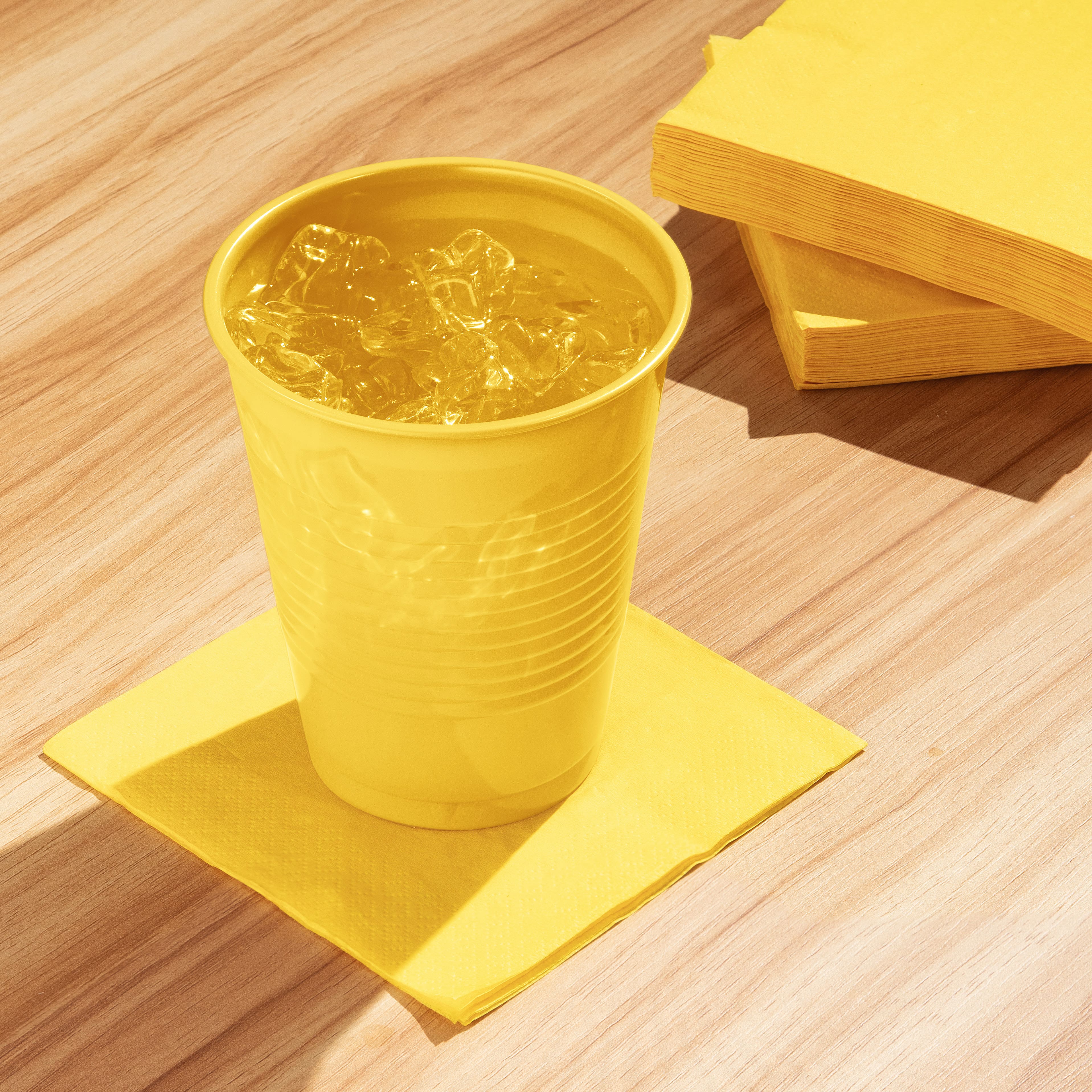 Hoffmaster 16oz. Plastic Cups, 20ct.
