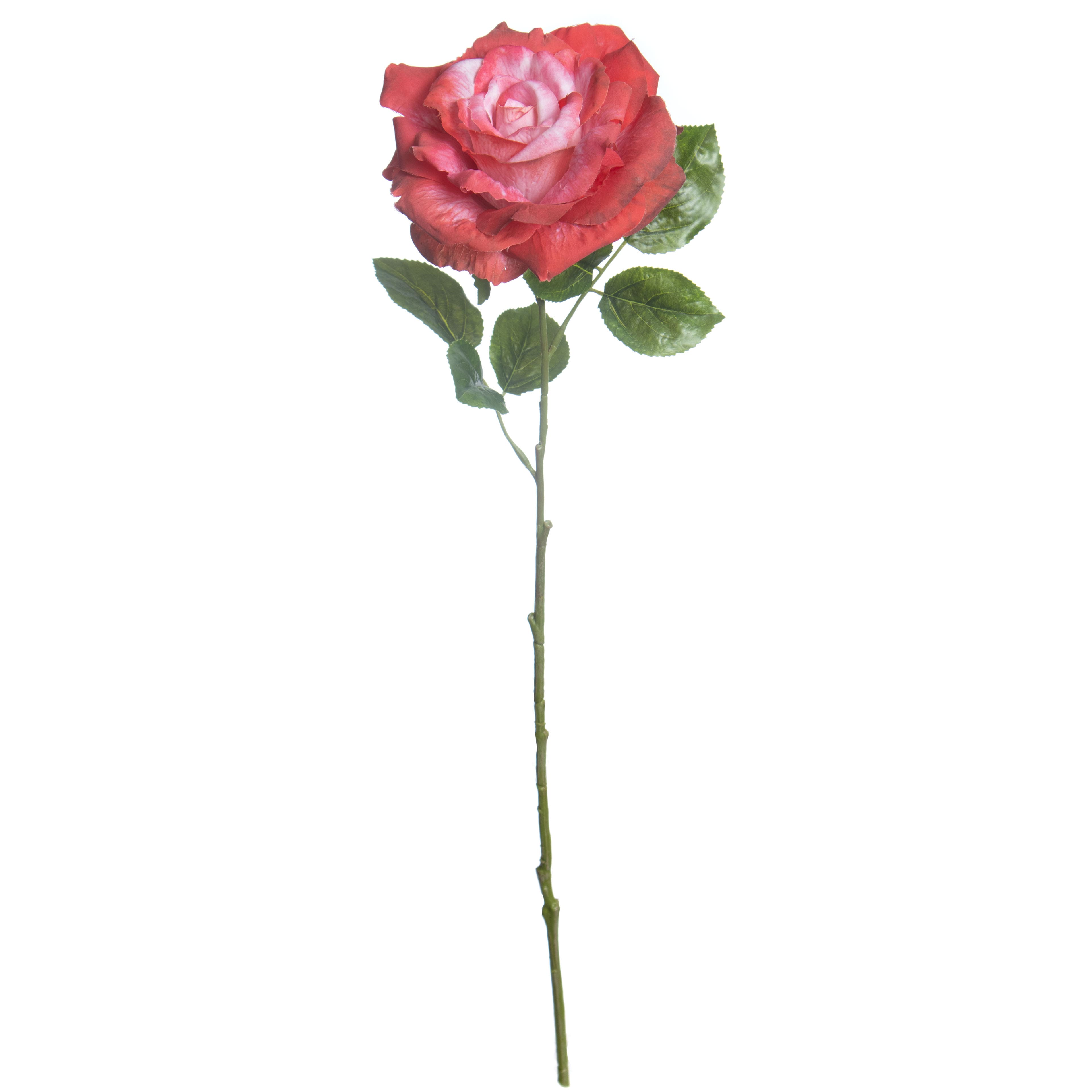 Red Rose Stem by Ashland®