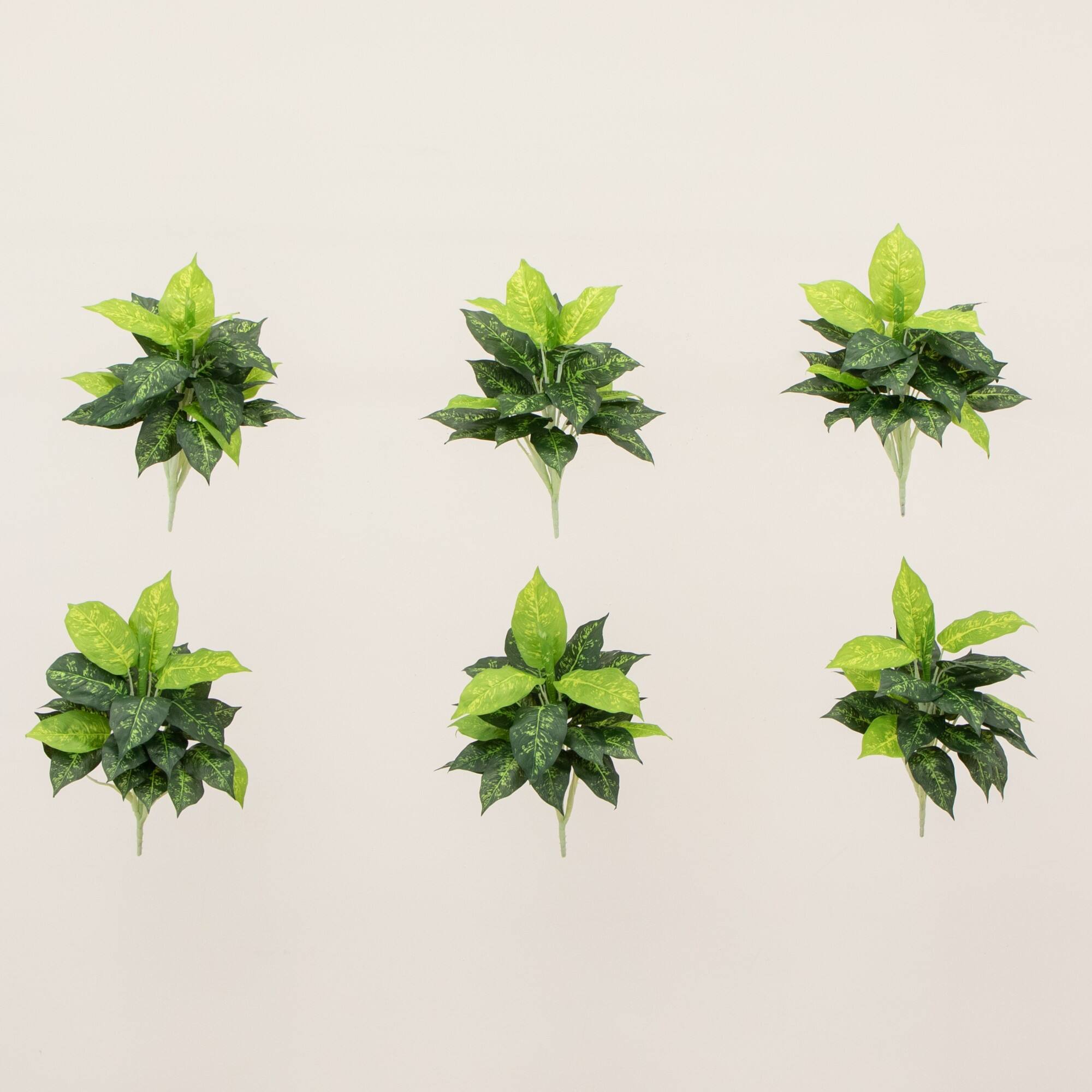 19" Artificial Dieffenbachia Plants, 6ct.