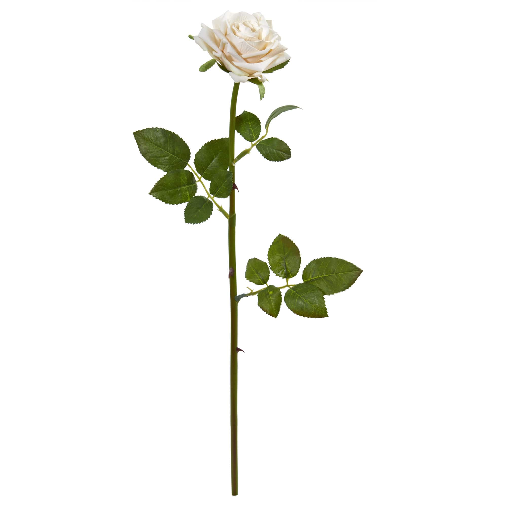 Rose Flower Stem, 12ct.