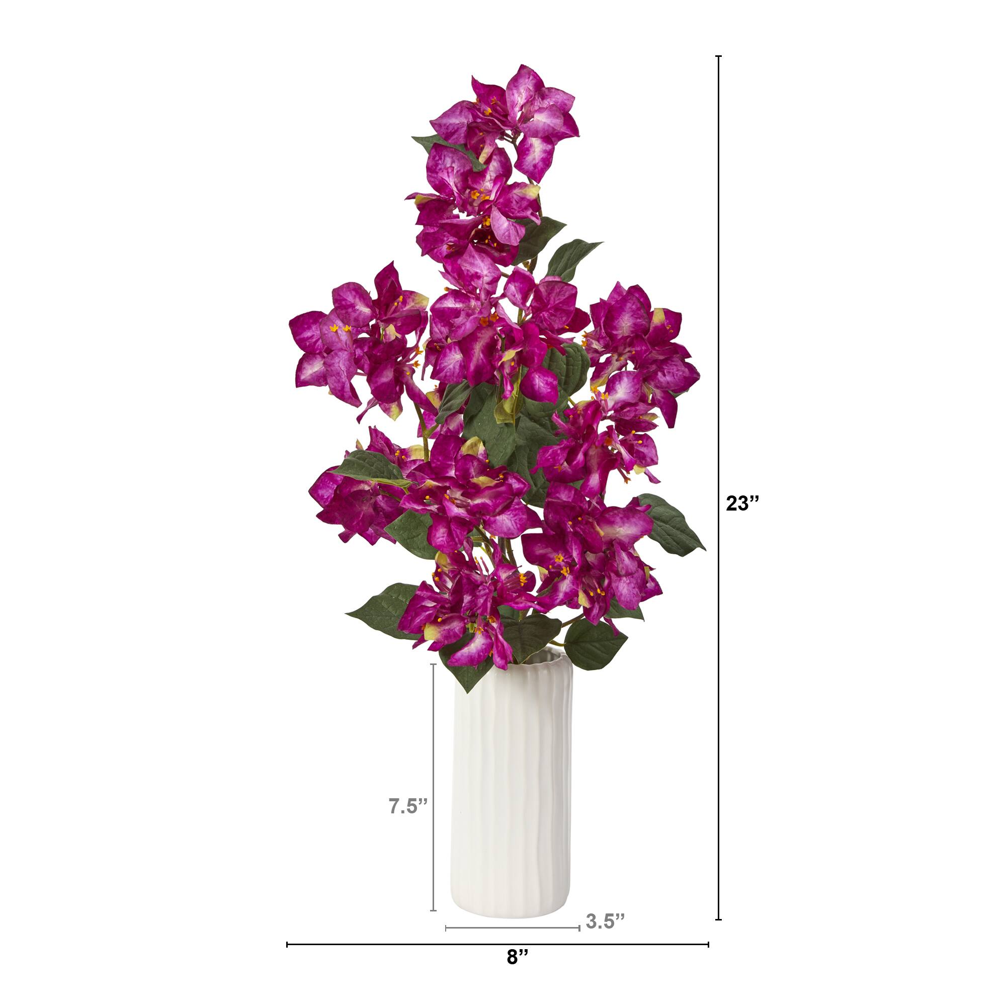 23" Bougainvillea Plant in White Planter