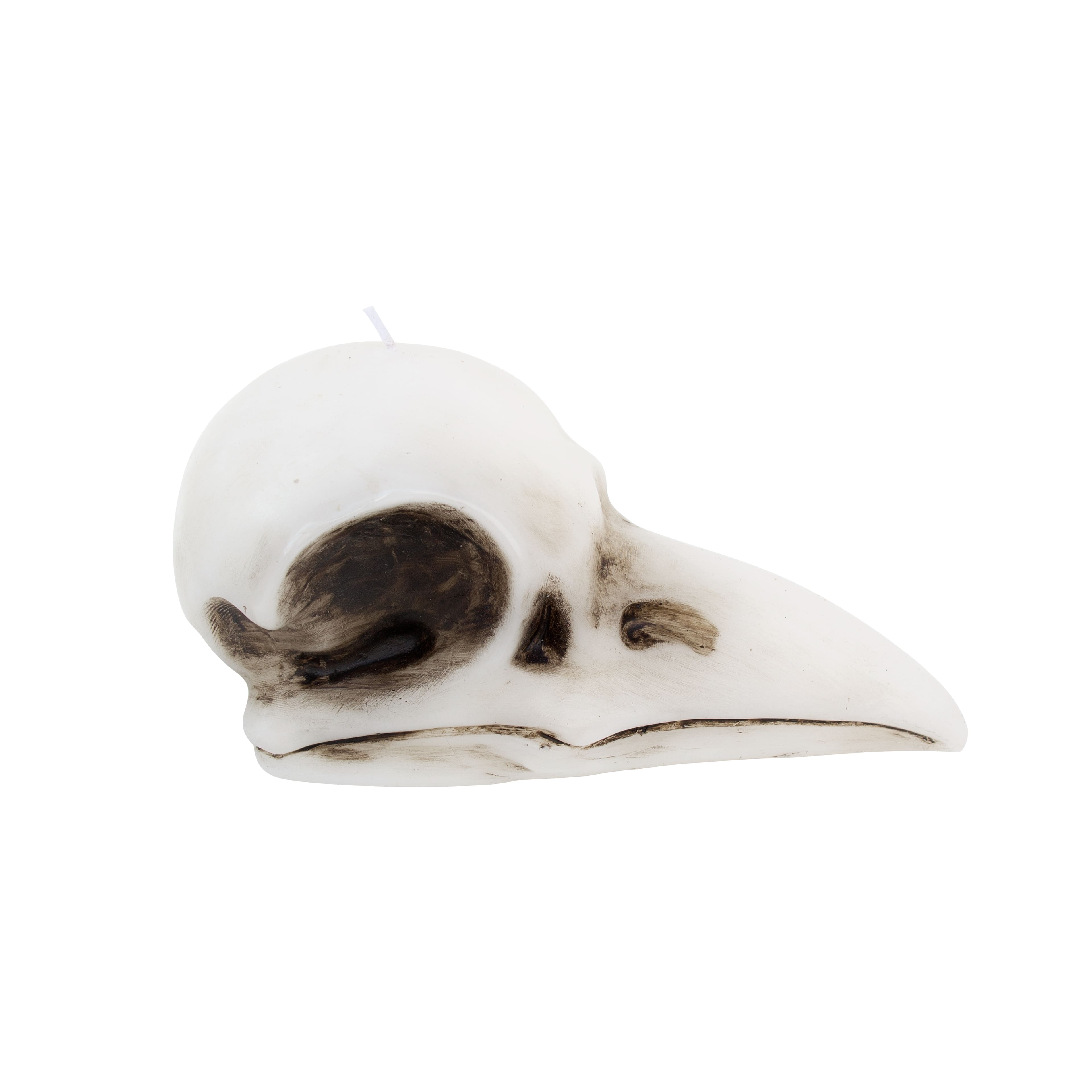 Crow Skull Shaped Candle by Ashland&#xAE;