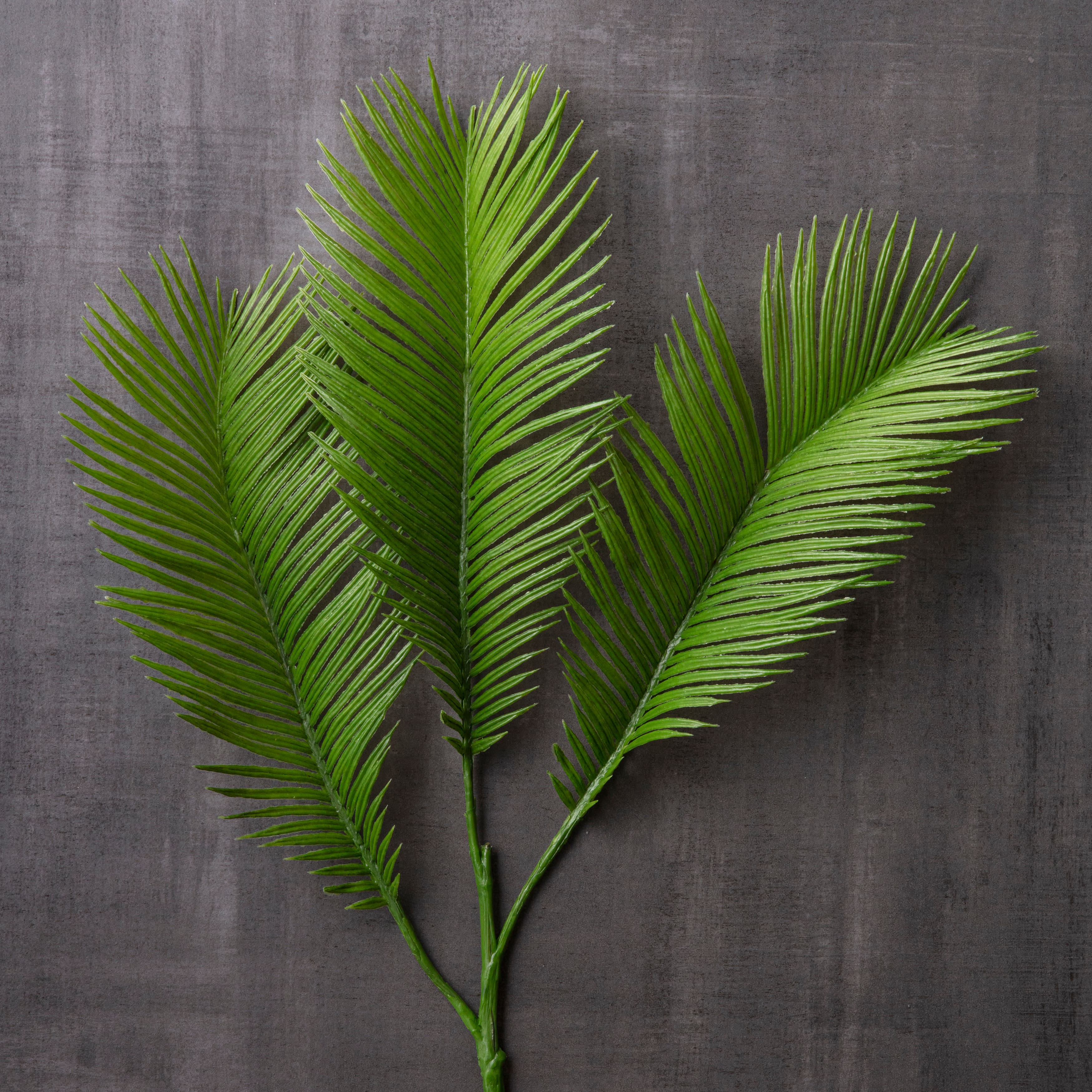Green Sago Palm Stem by Ashland&#xAE;