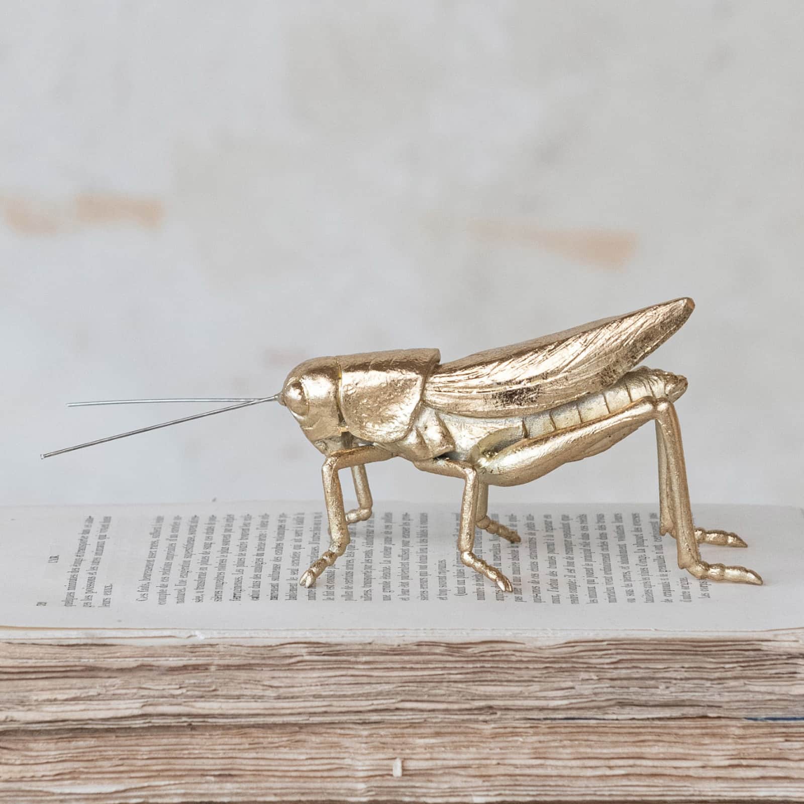 Hello Honey® 5.5" Gold Gilded Garden Grasshopper Décor