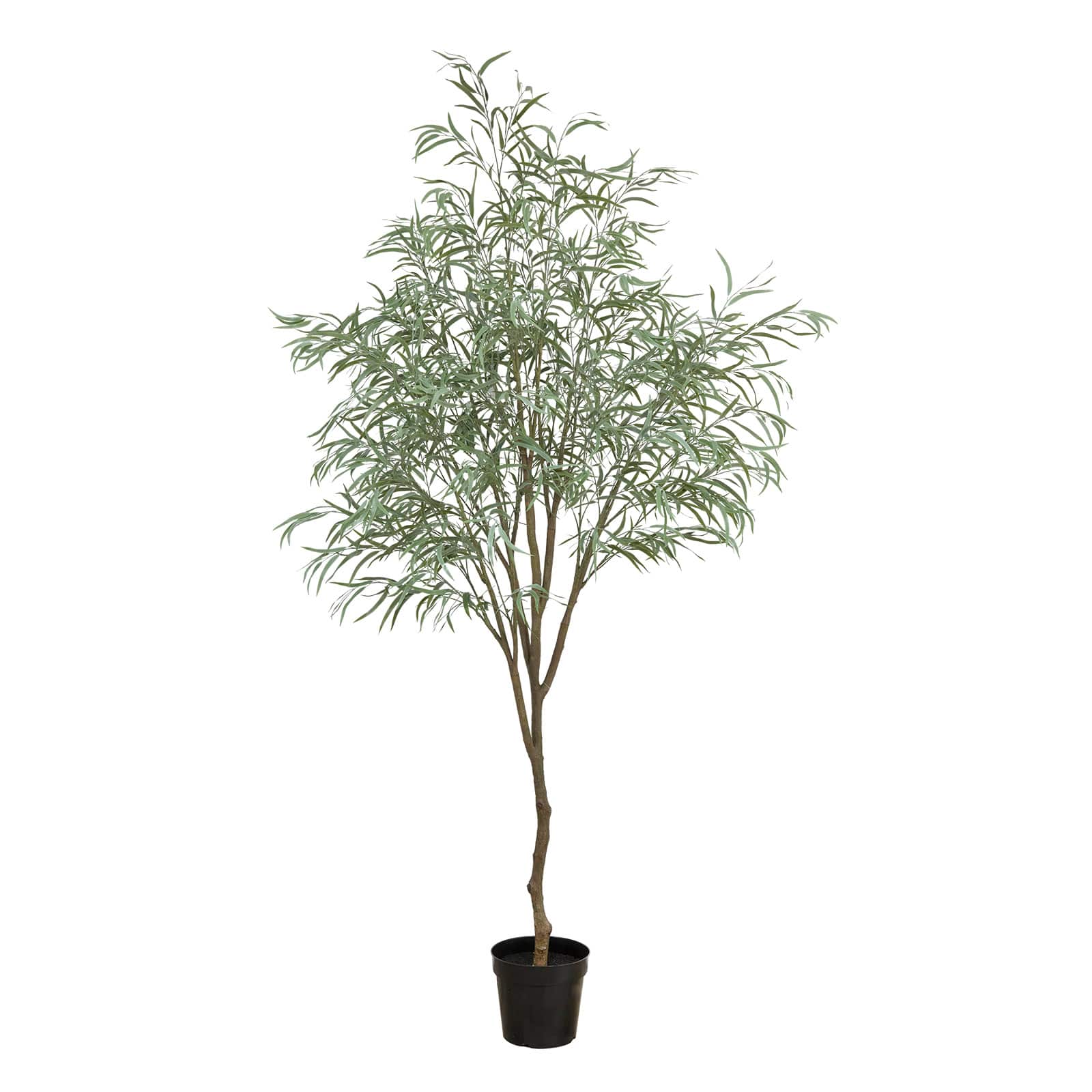 9ft. Willow Eucalyptus Tree by Ashland&#xAE;