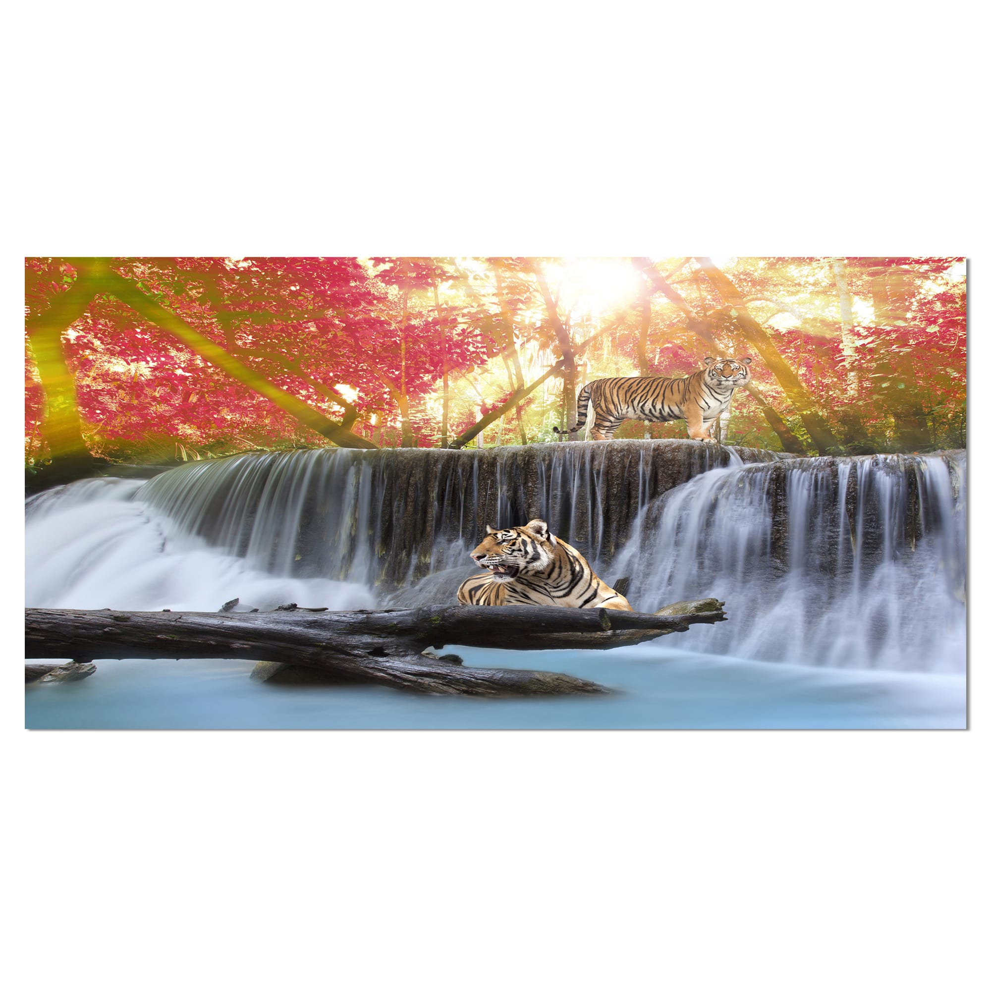 Designart - Tiger in the Jungle - Photography Canvas Art Print