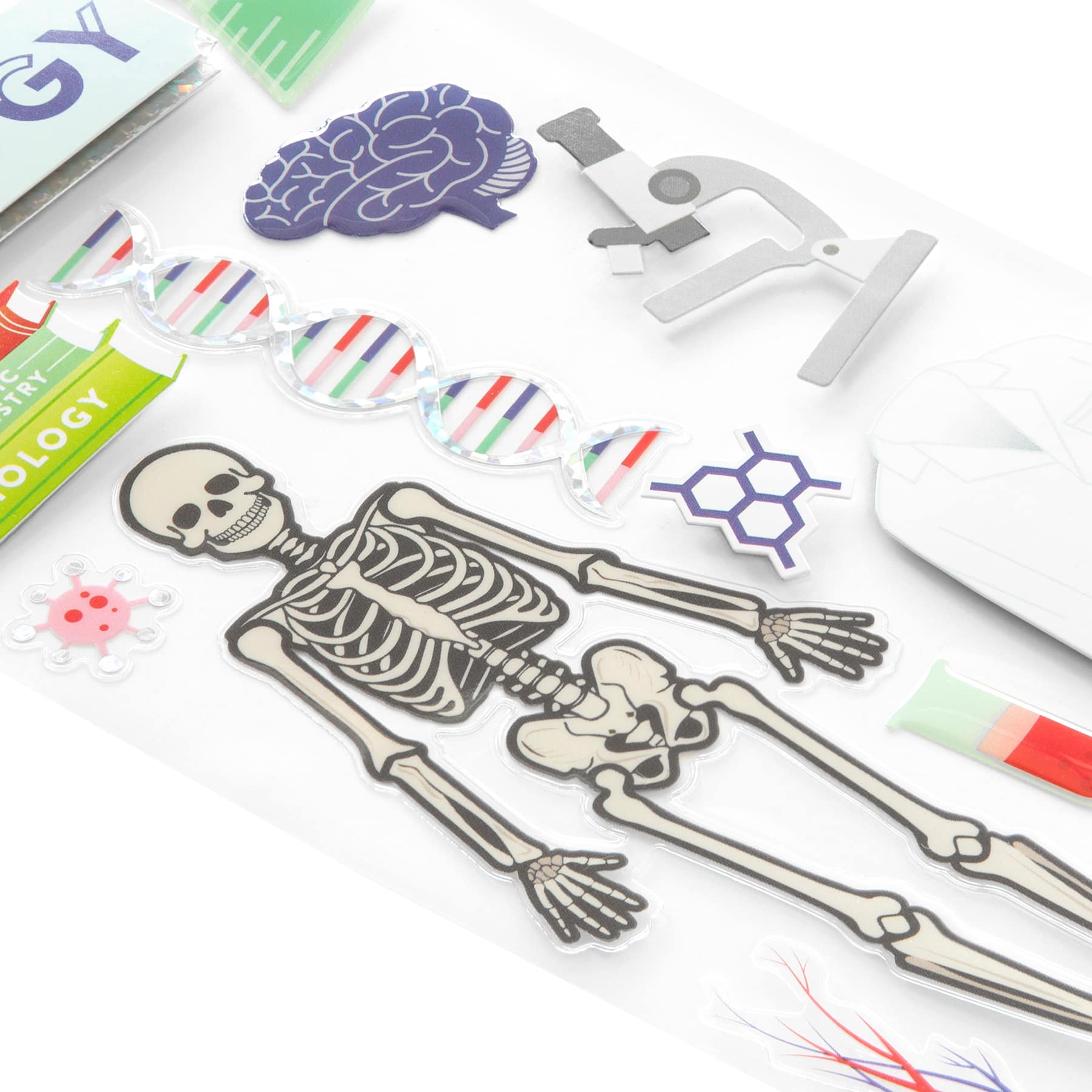 12 Pack: Biology Dimensional Stickers by Recollections™