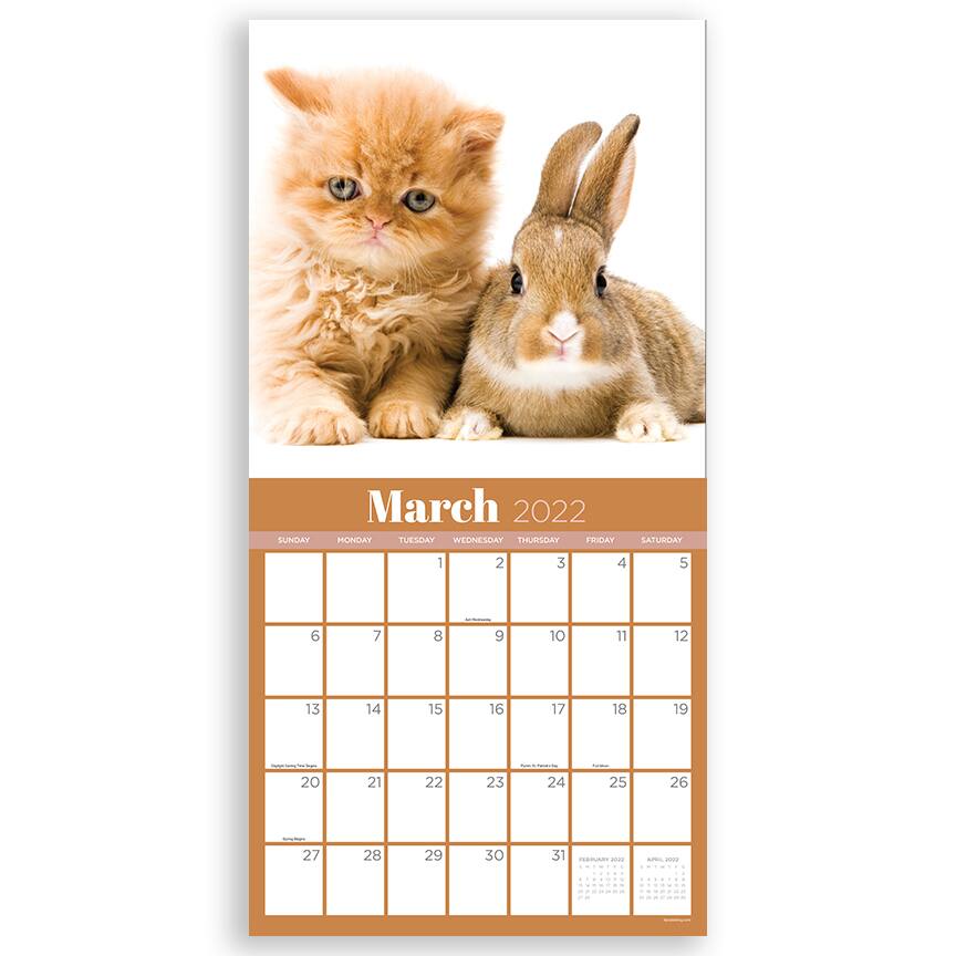 Tf Publishing 2022 Furry Friends Wall Calendar Michaels Furries Calendar 2022