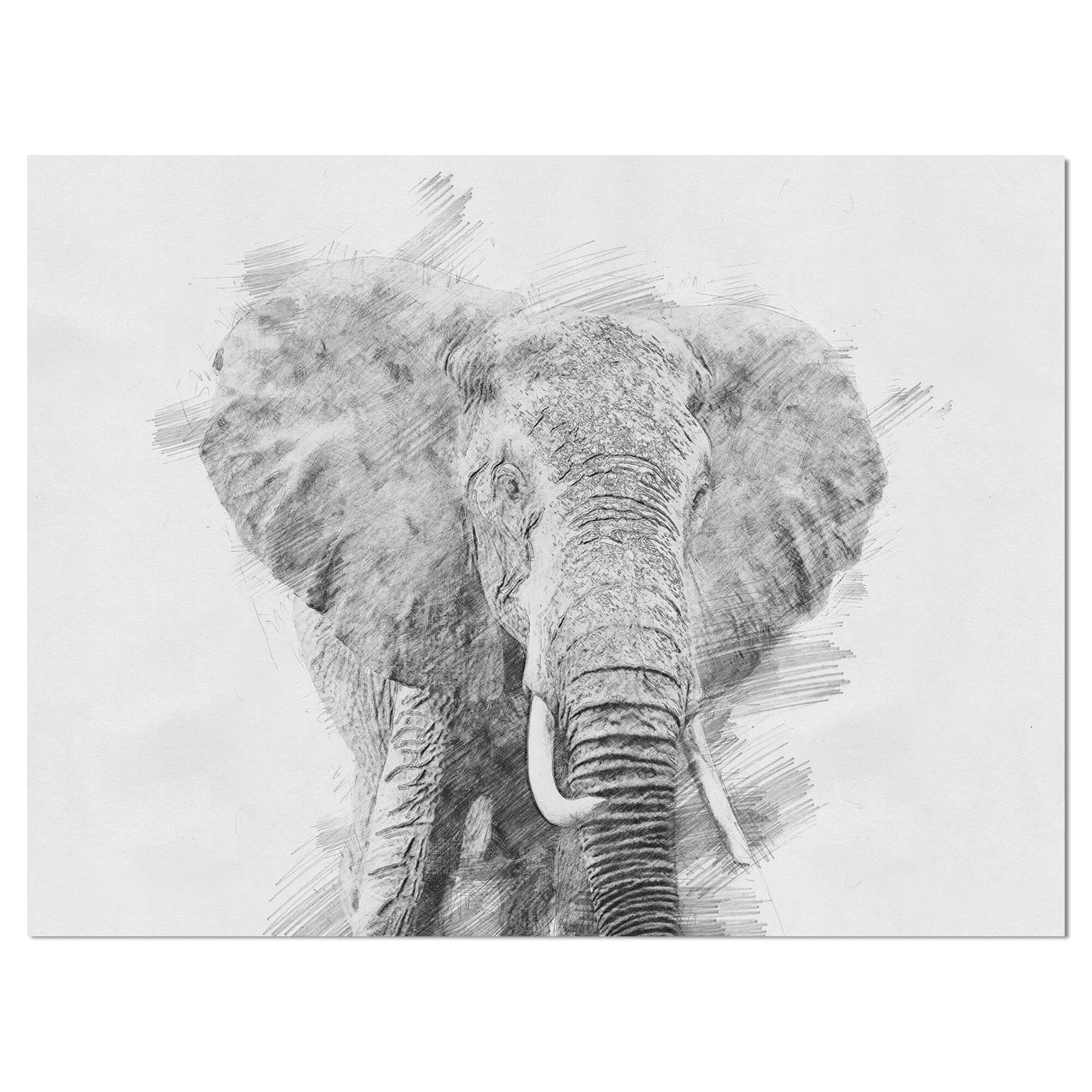Designart - Black and White Elephant Sketch - Animals Painting Print on Wrapped Canvas
