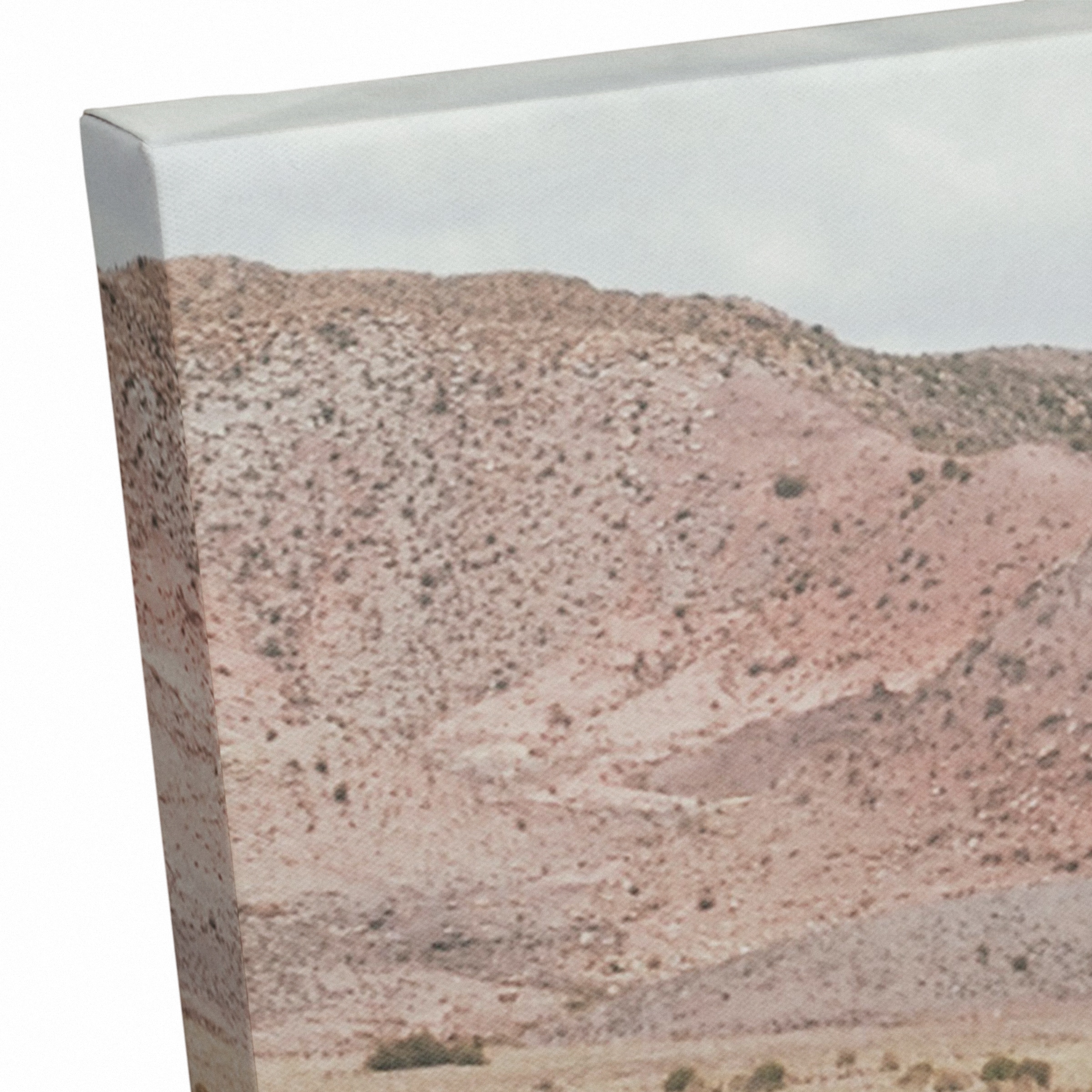 Llama In Field 20" x 20" Canvas Wall Art