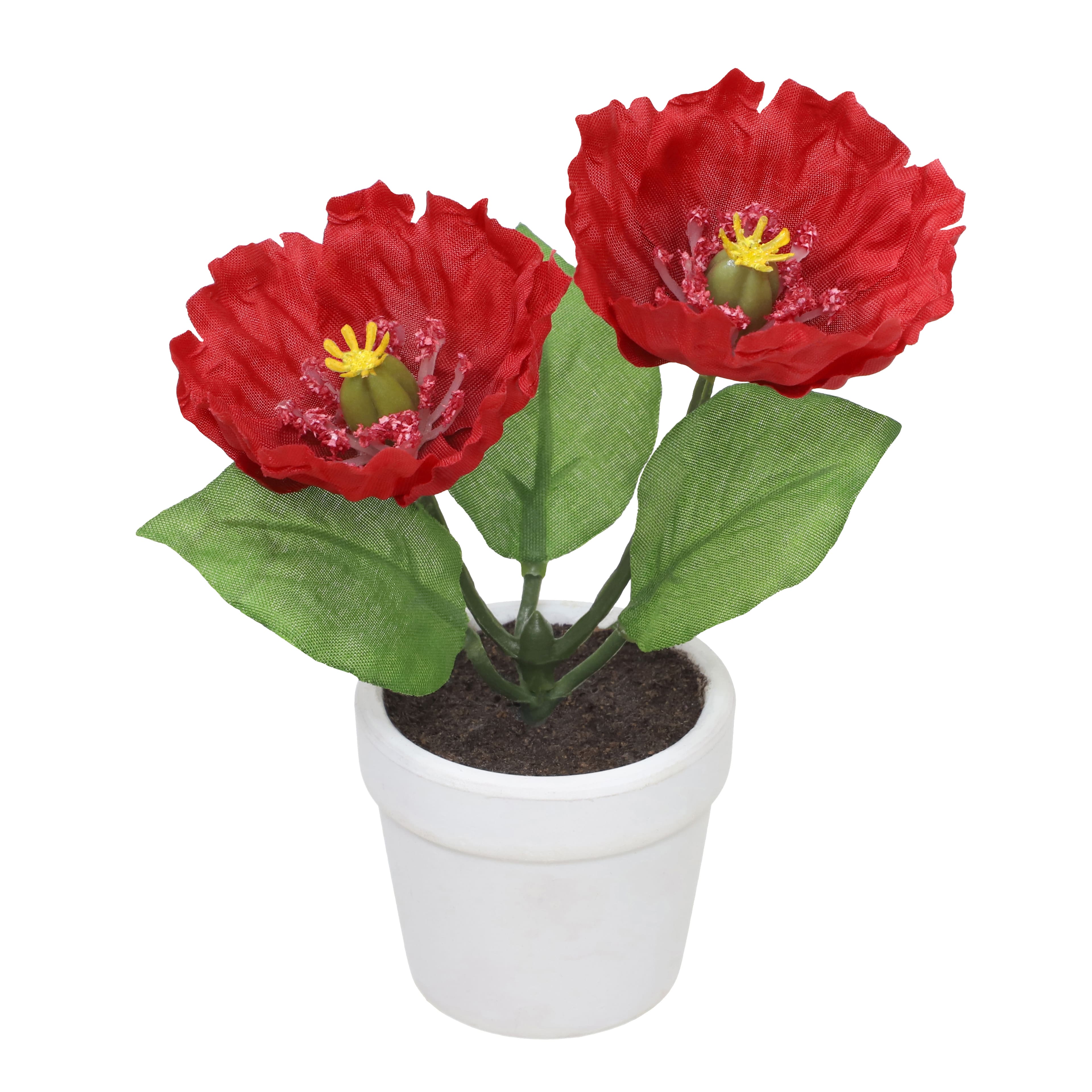 4&#x22; Red Poppy Arrangement in White Container by Ashland&#xAE;