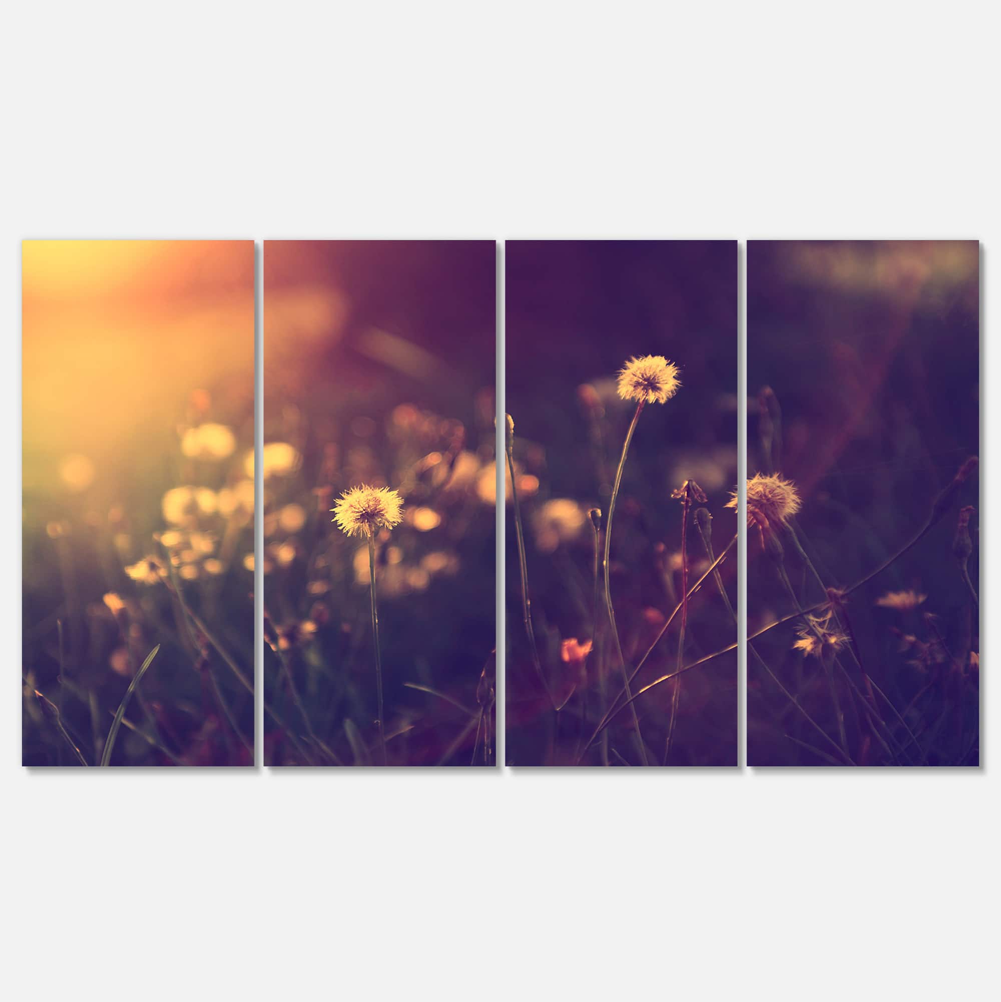 Designart - Vintage Dandelion Meadow Photo - Large Floral Canvas Art Print