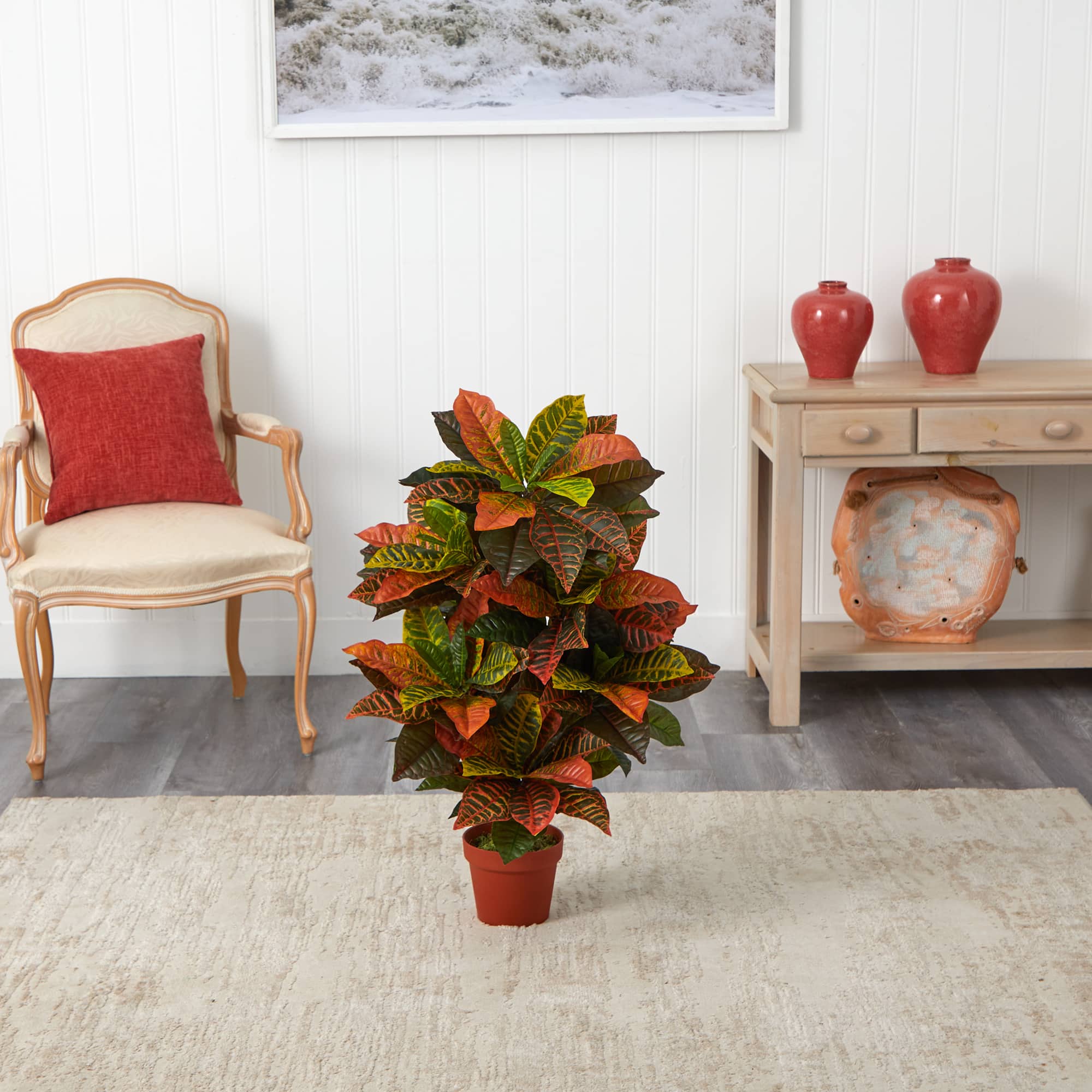 3ft. Potted Croton Plant