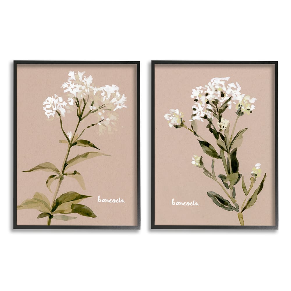 Stupell Industries White Boneset Flowers Soft Green White Brown in Black Frame Wall Art