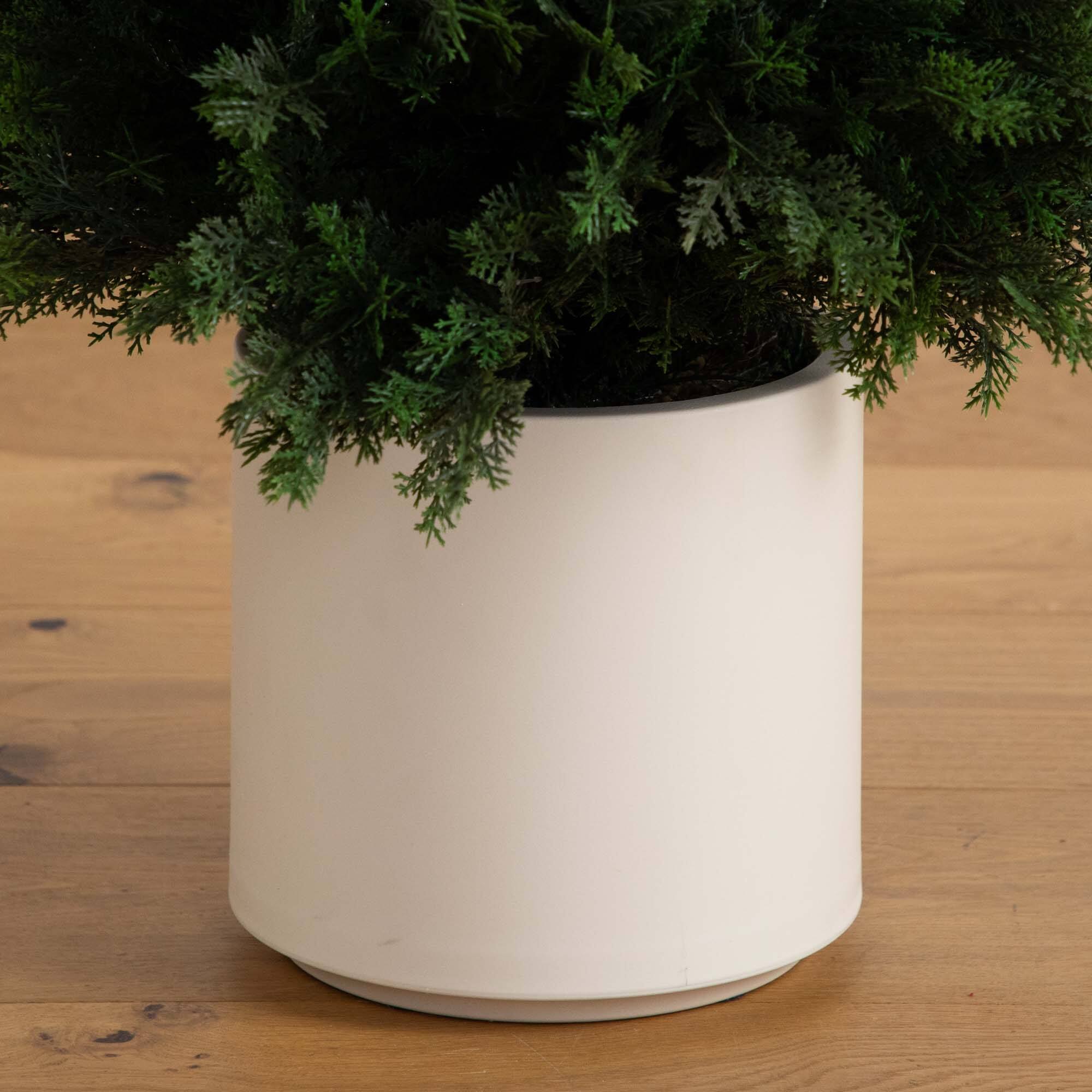 5ft. UV-Resistant Cedar Tree in White Planter