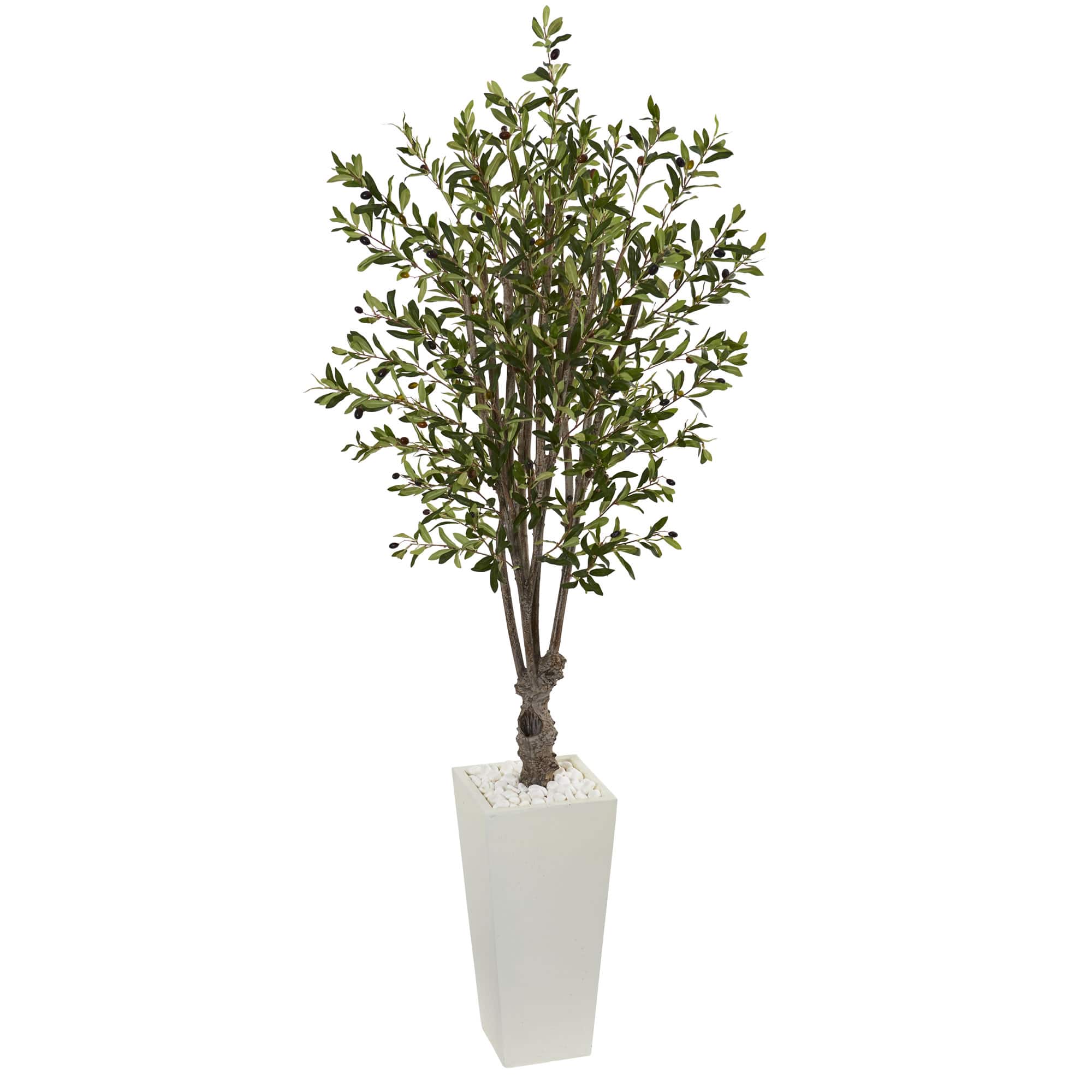 6ft. Olive Tree In White Tower Planter