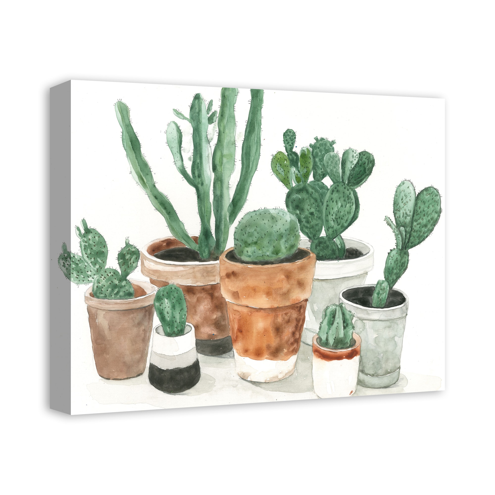 Cactus In Pots 20" x 16" Canvas Wall Art