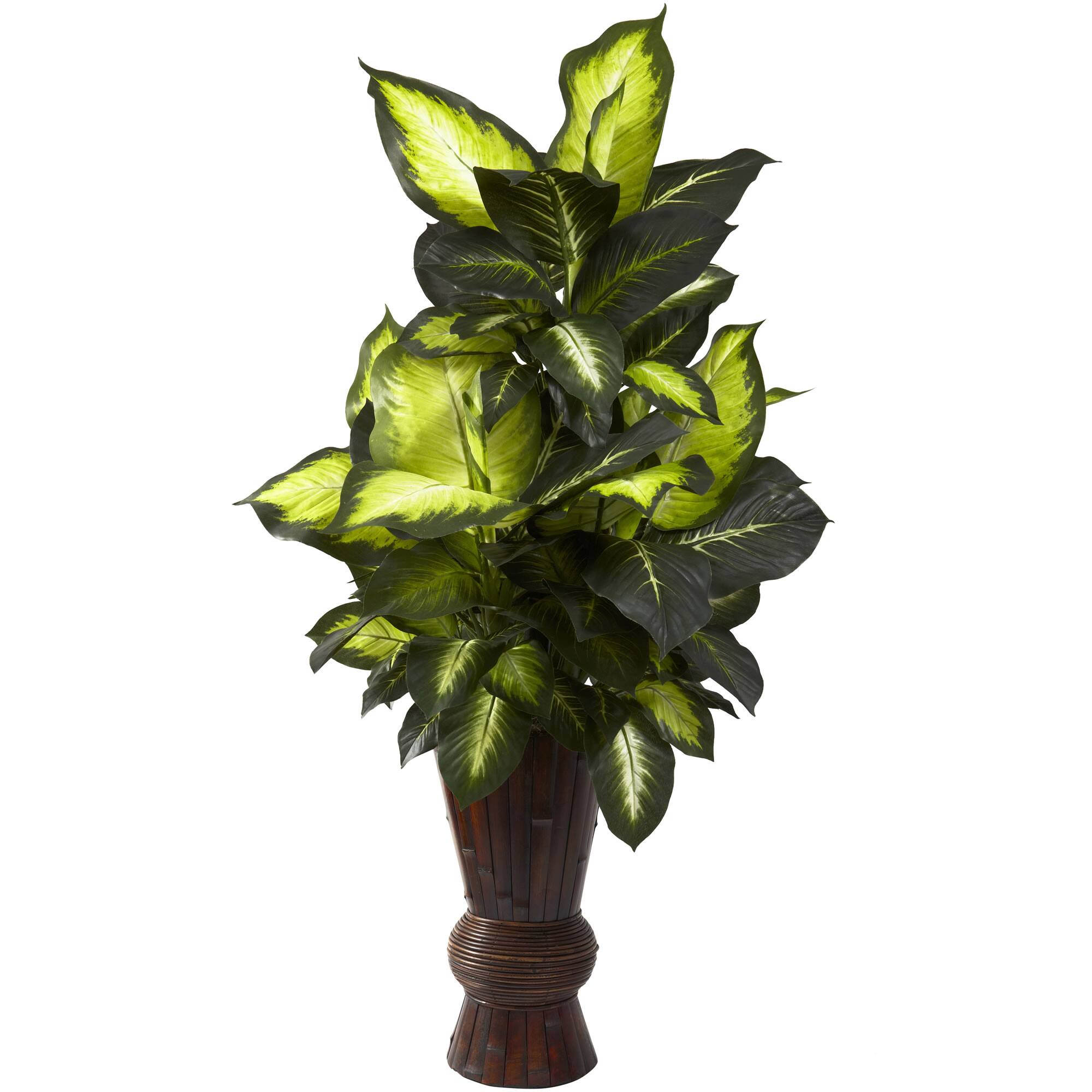 4ft. Golden Dumb Cane in Bamboo Planter Michaels