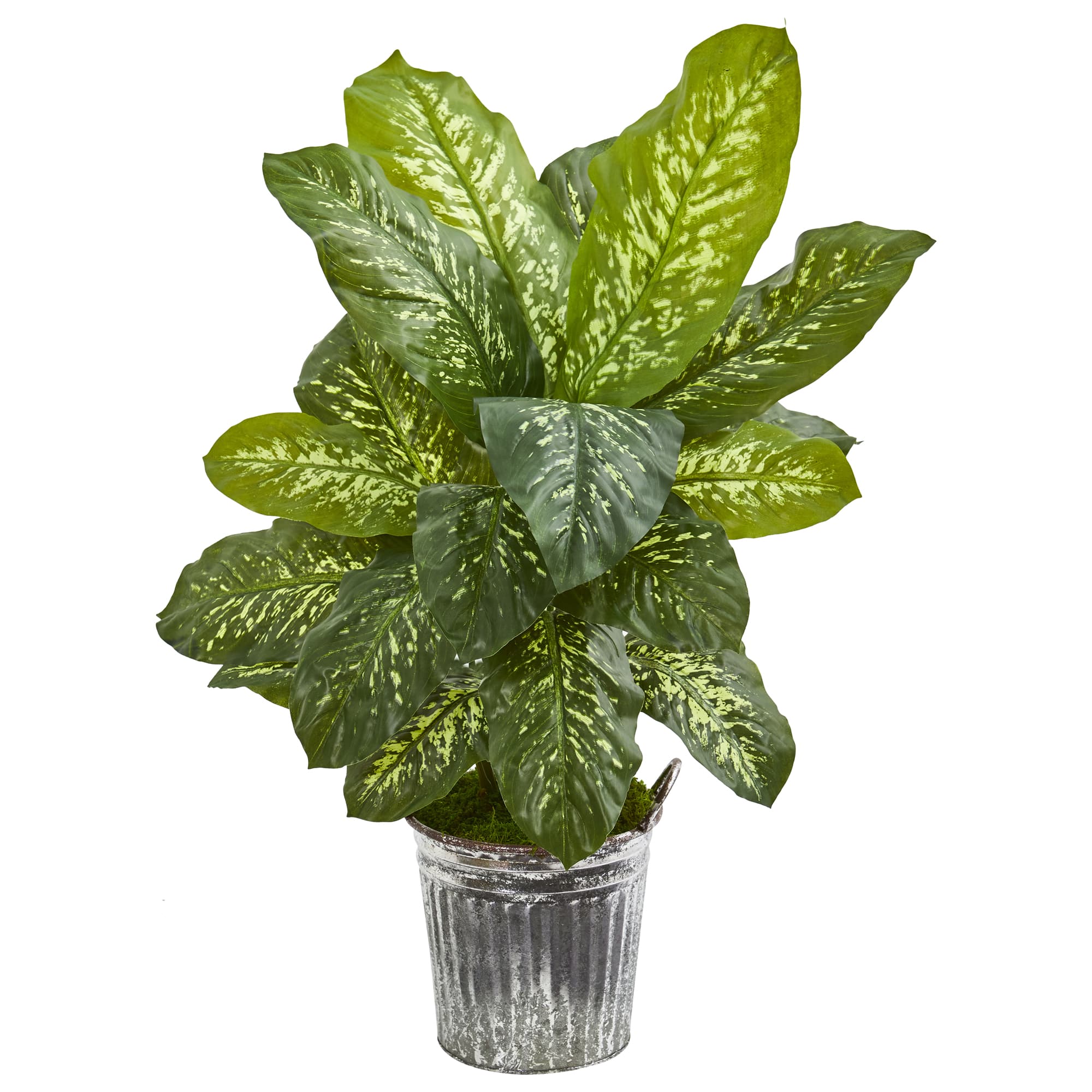 38&#x22; Dieffenbachia Artificial Plant in Vintage Metal Bucket (Real Touch)