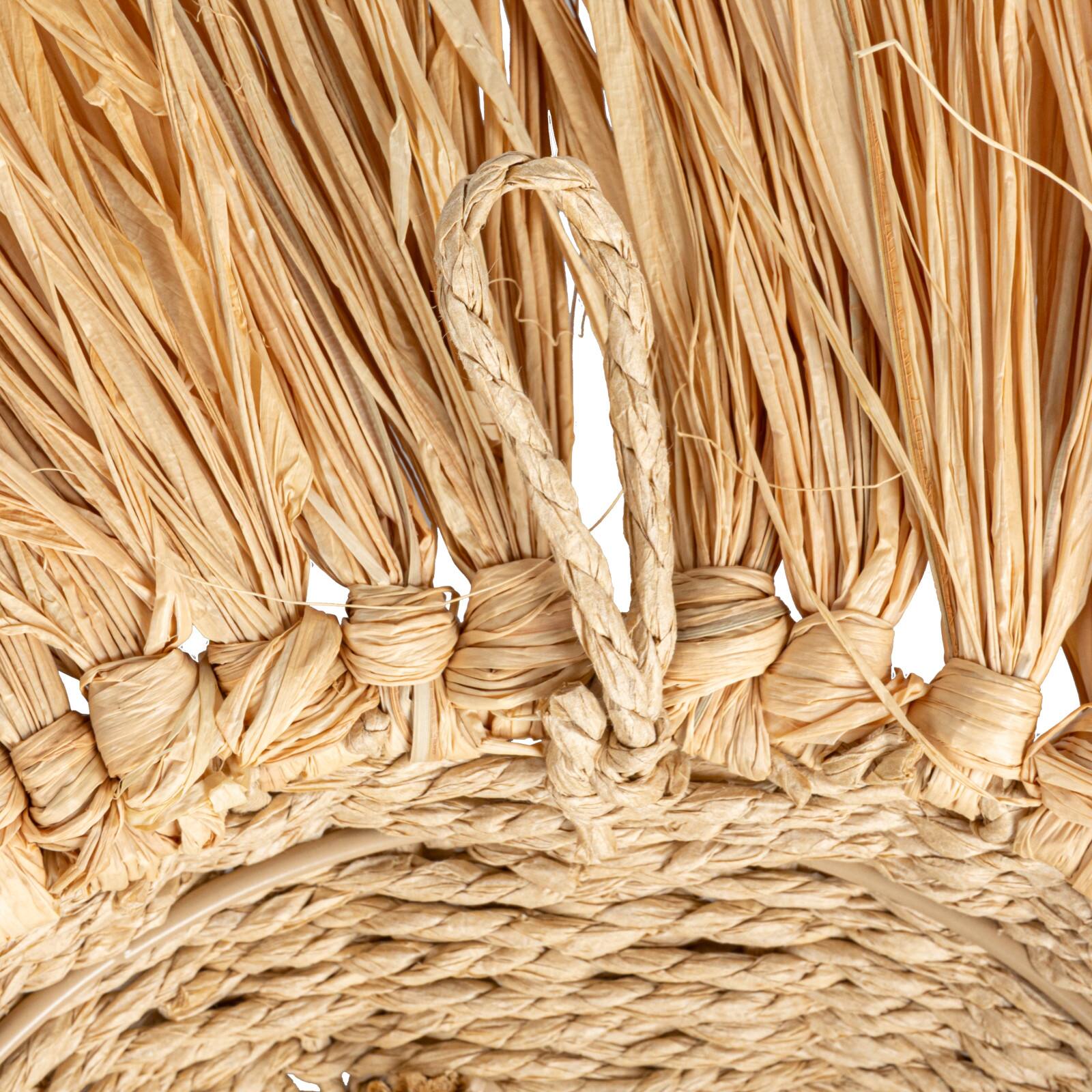 Hello Honey&#xAE; 16.5&#x22; Natural Savannah King Raffia Lion Wall Art