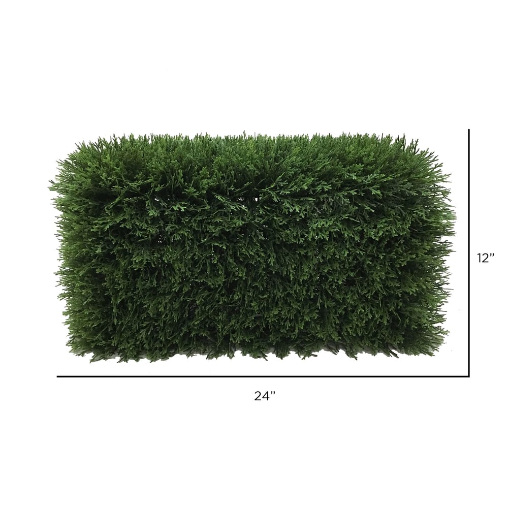 2ft. Green Cedar Hedge