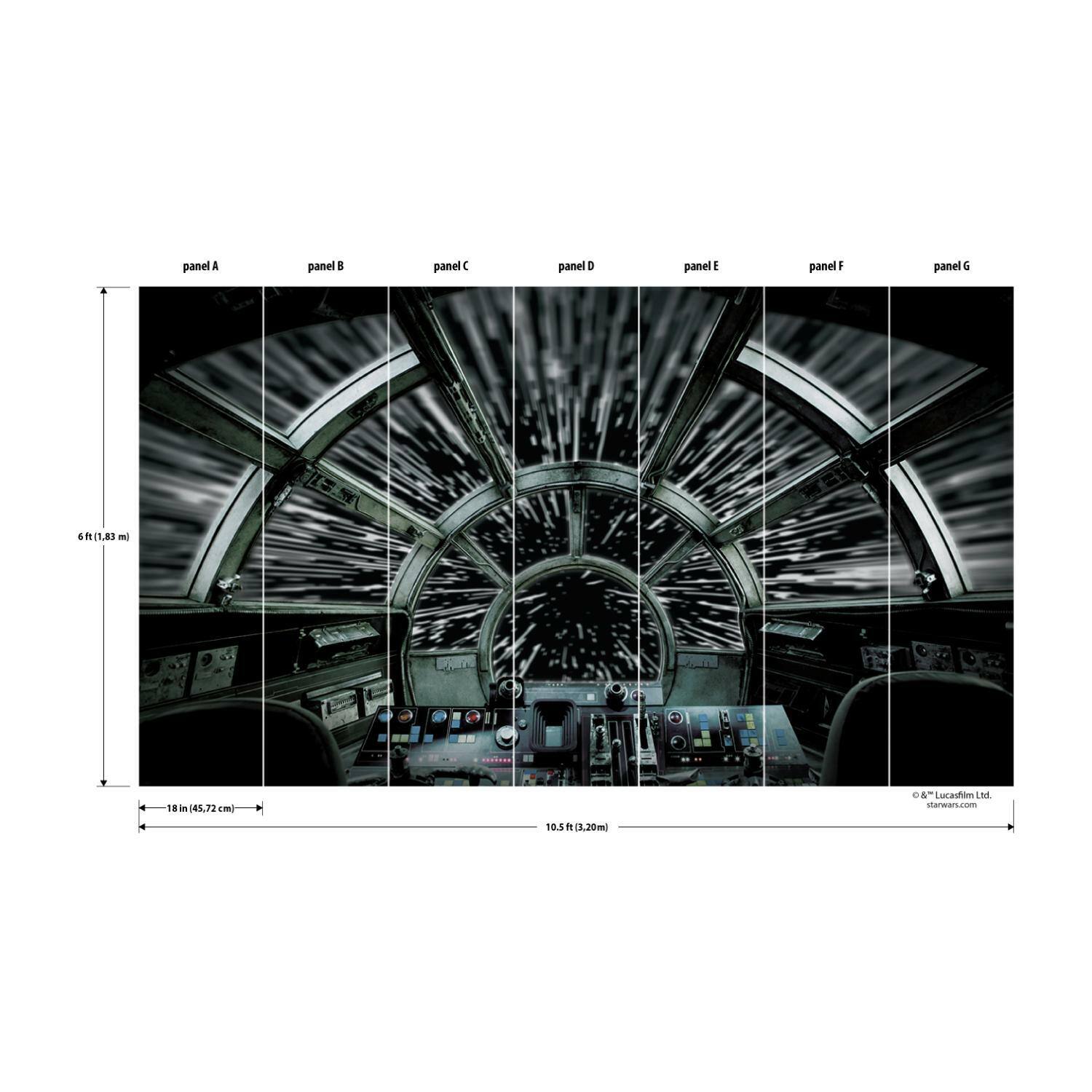 RoomMates Star Wars Millennium Falcon Peel & Stick Mural