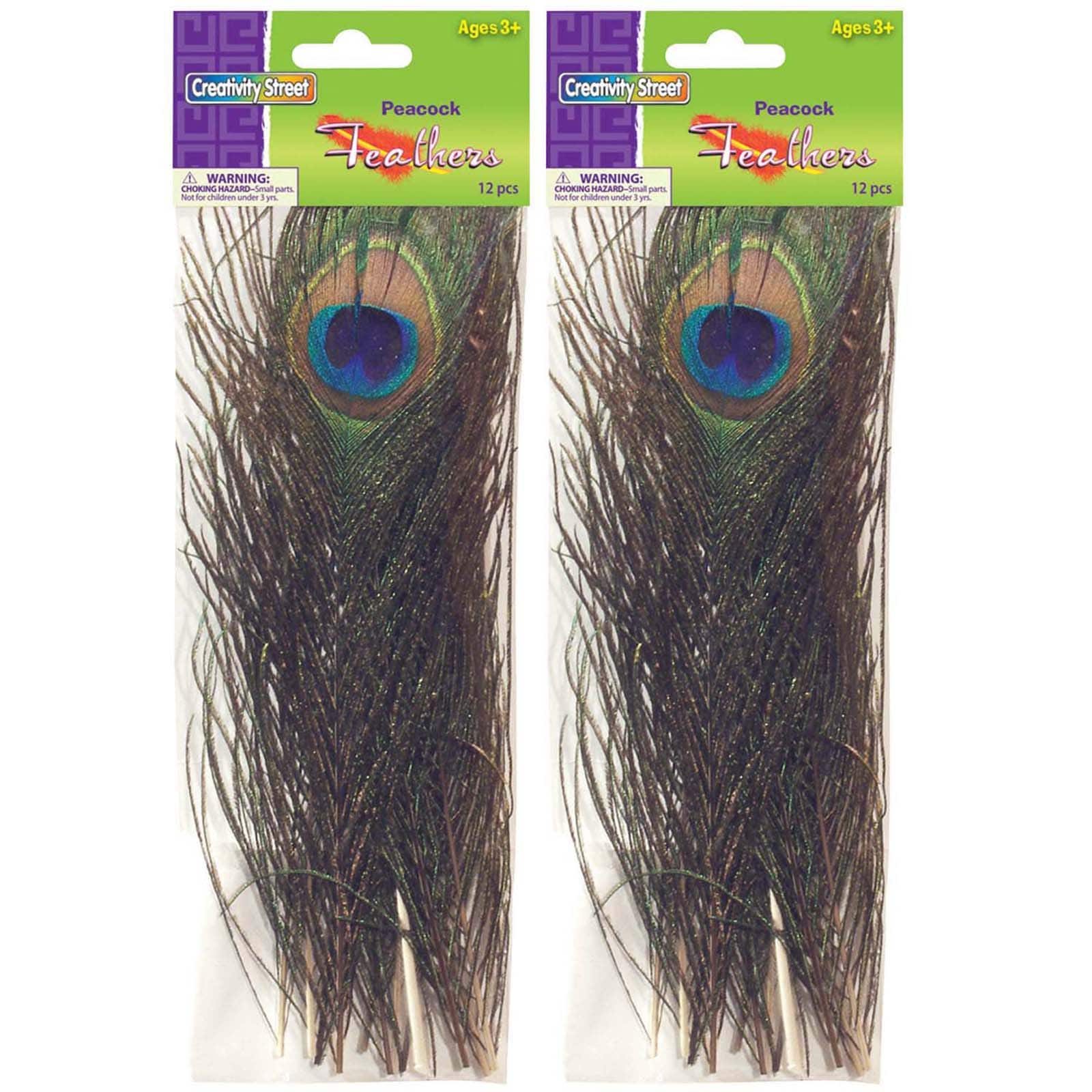 Creativity Street Non-toxic Peacock Feathers, 35 To 40 Inches, Pack Of 12 :  Target