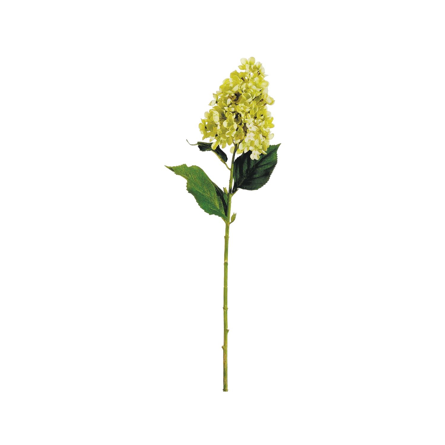 Lime Cone Hydrangea Spray