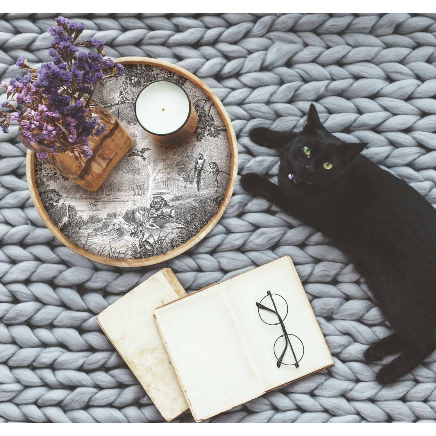 RoomMates Jungle Toile Peel & Stick Wallpaper