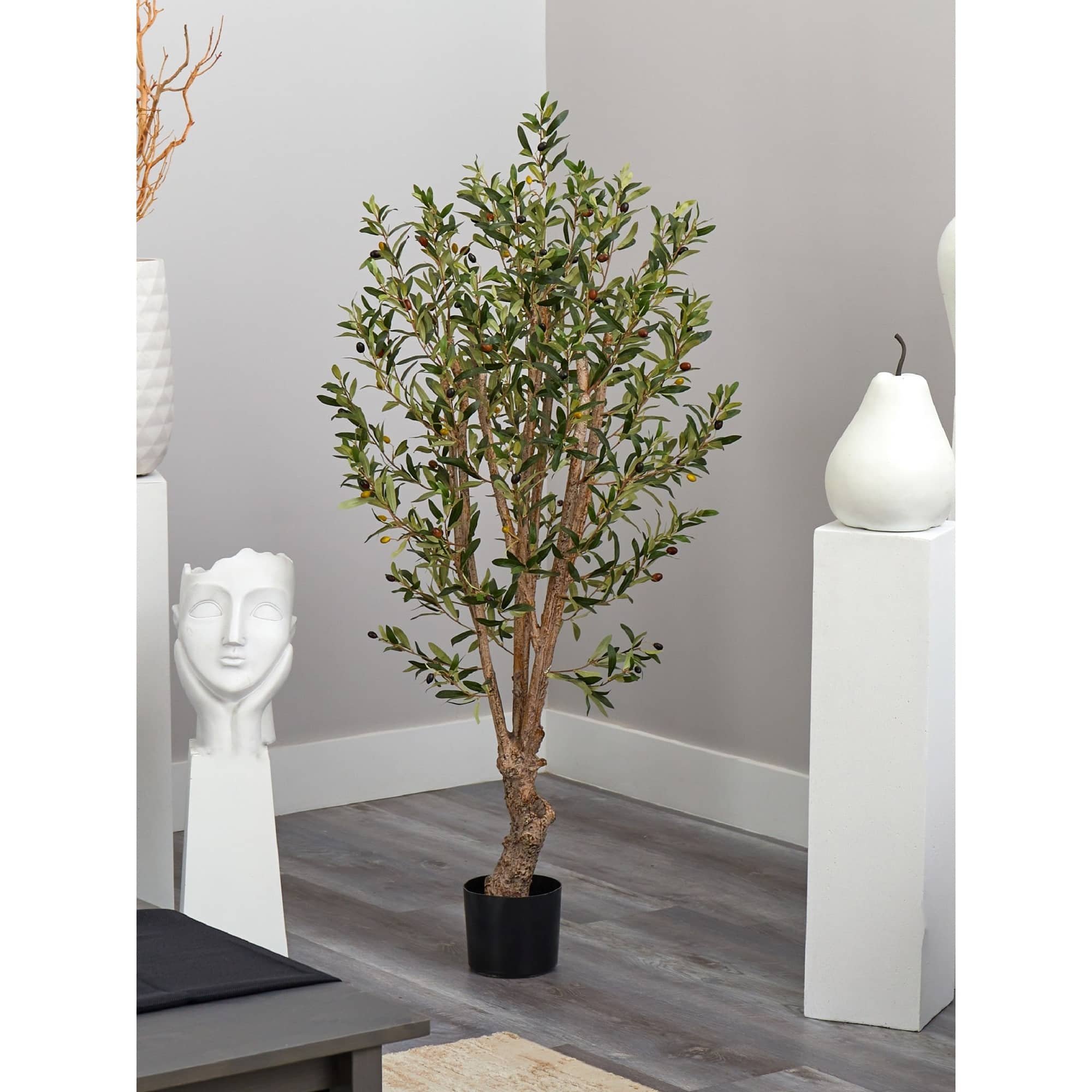 5ft. Potted Olive Tree