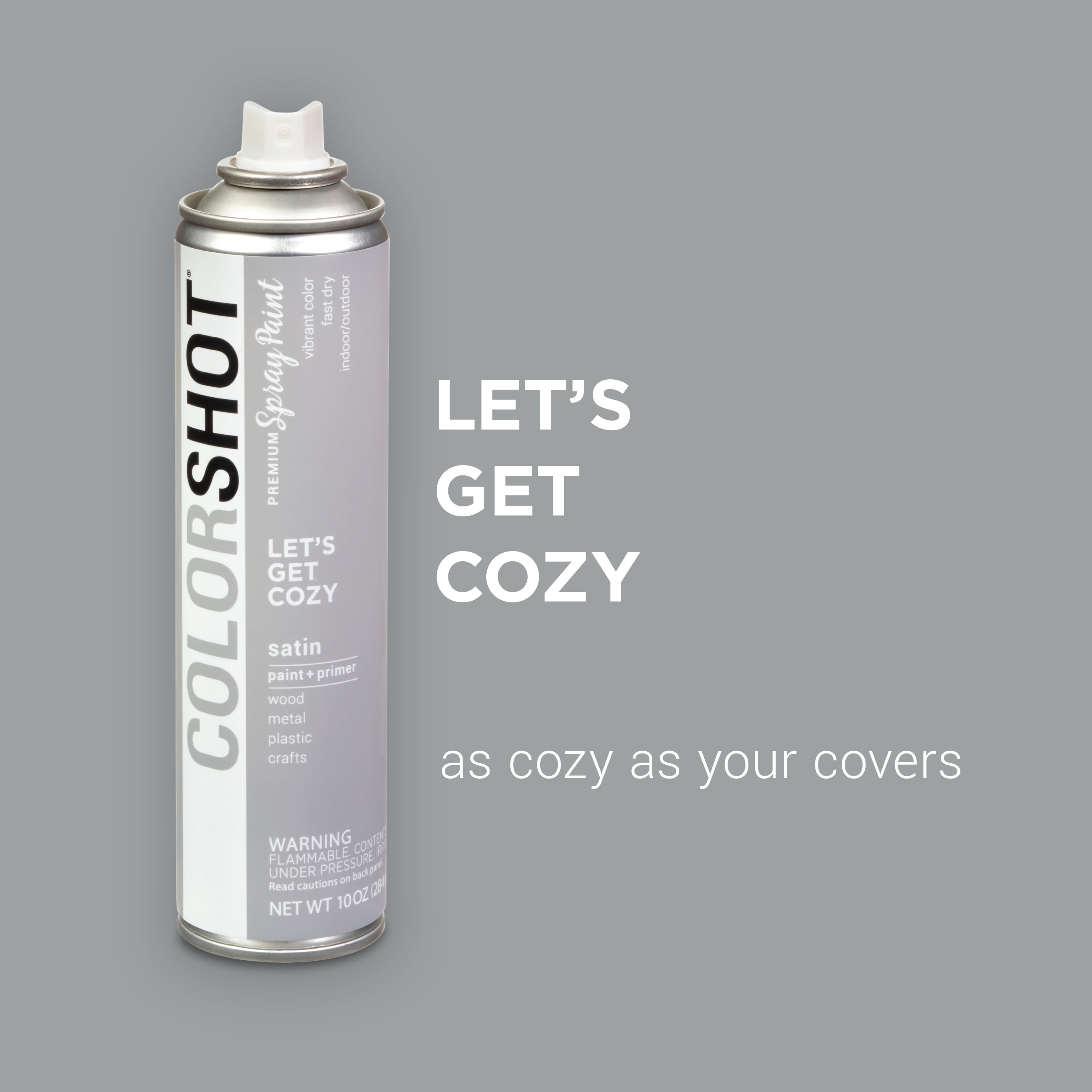 COLORSHOT&#xAE; Premium Satin Spray Paint