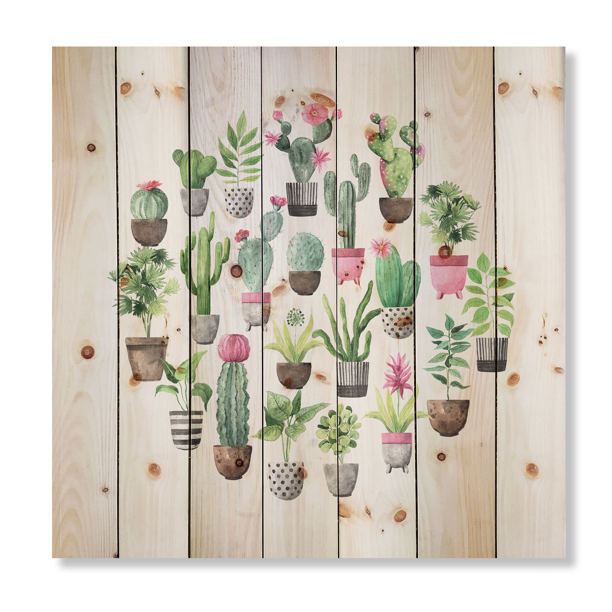 Designart - Cacti In Ceramic Pots In Gentle Tones II - Botanical Print on Natural Pine Wood